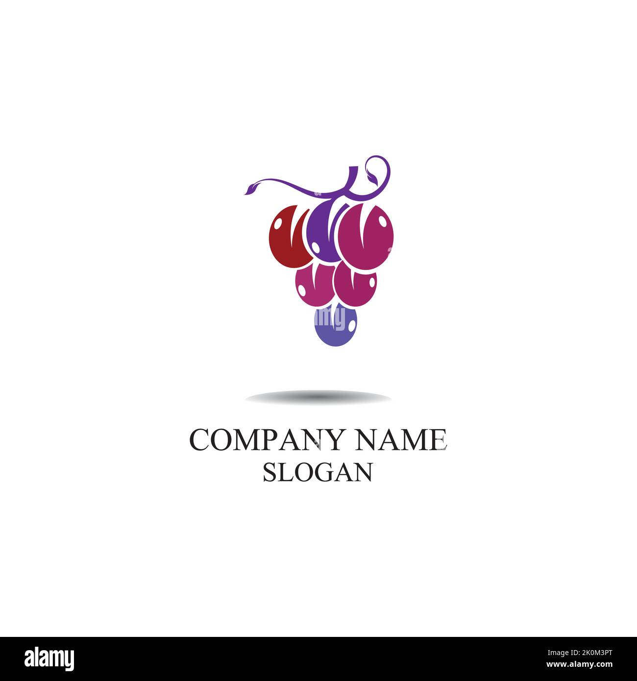 Grape fruit logo flat vector template icon illustration design Stock Vector