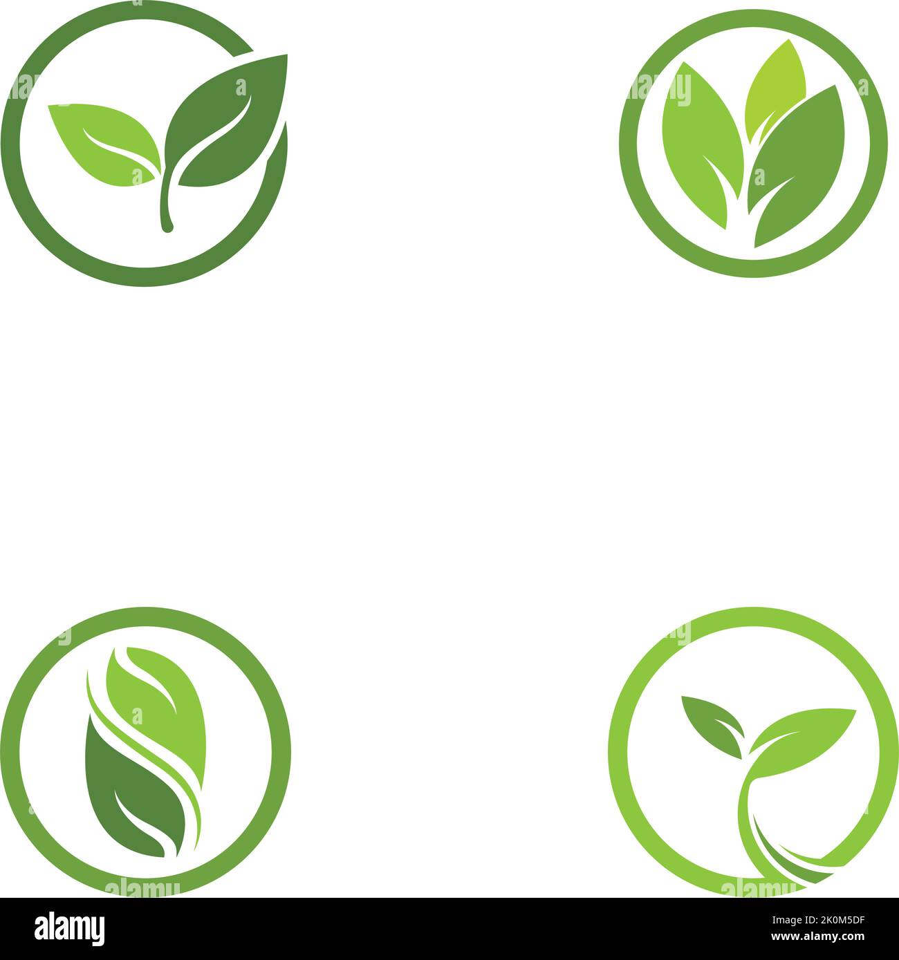 Green leaf logo template Vector icon Stock Vector Image & Art - Alamy