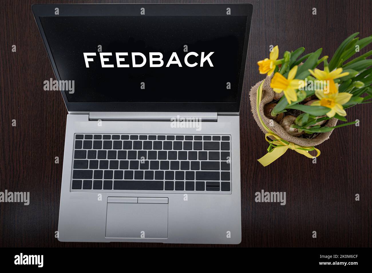 Top view of silver laptop with text feedback and plant on table. Stock Photo