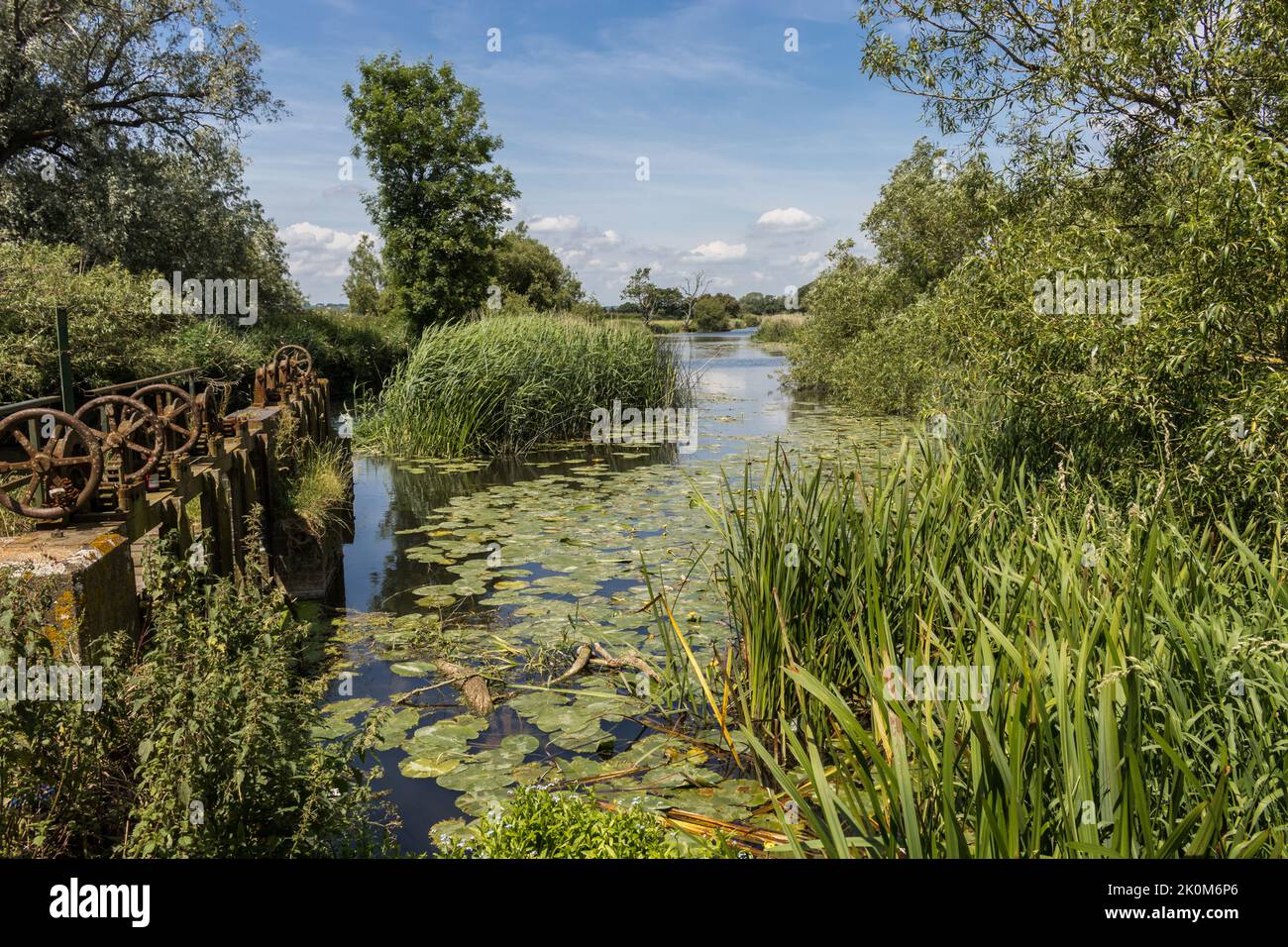 Silt-laden water rushing over a weir on the River Stour Blandford Dorset  England UK Stock Photo - Alamy