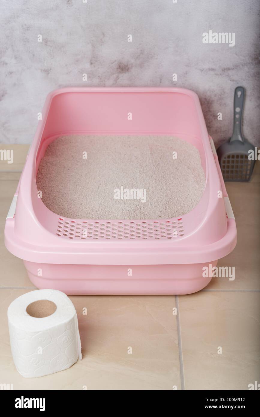 Clumping cat litter in the litter box in the restroom Stock Photo Alamy