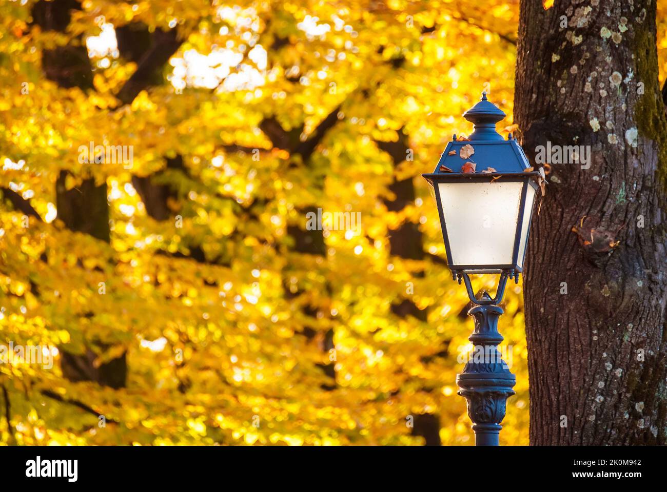 Autumn and foliage in the park. Vintage street lamp among autumnal leaves Stock Photo