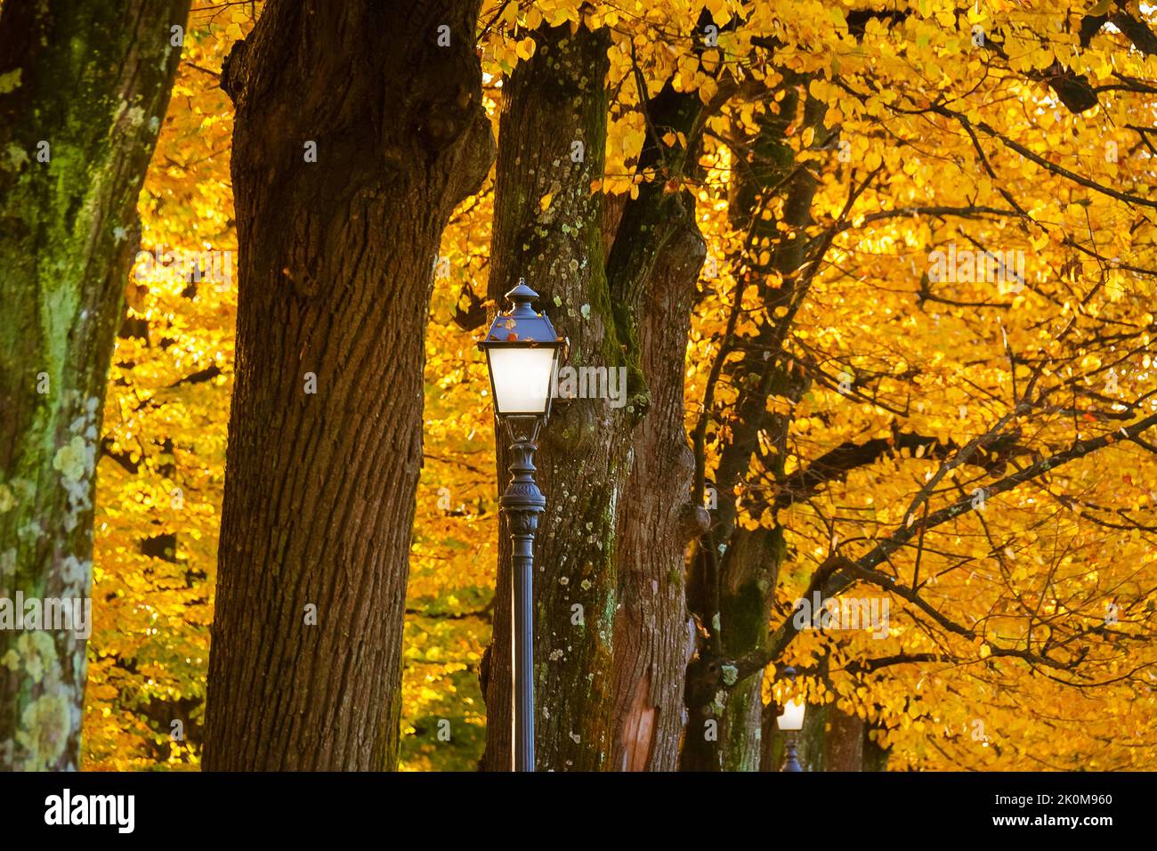 Autumn and foliage in the park. Vintage street lamp among autumnal leaves Stock Photo