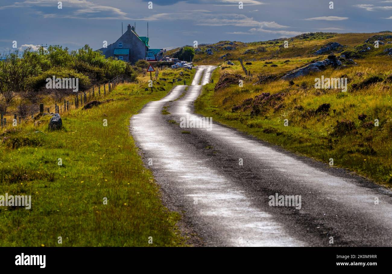 A back-lit single track road on the Scottish Hebridean Island of COLL ...