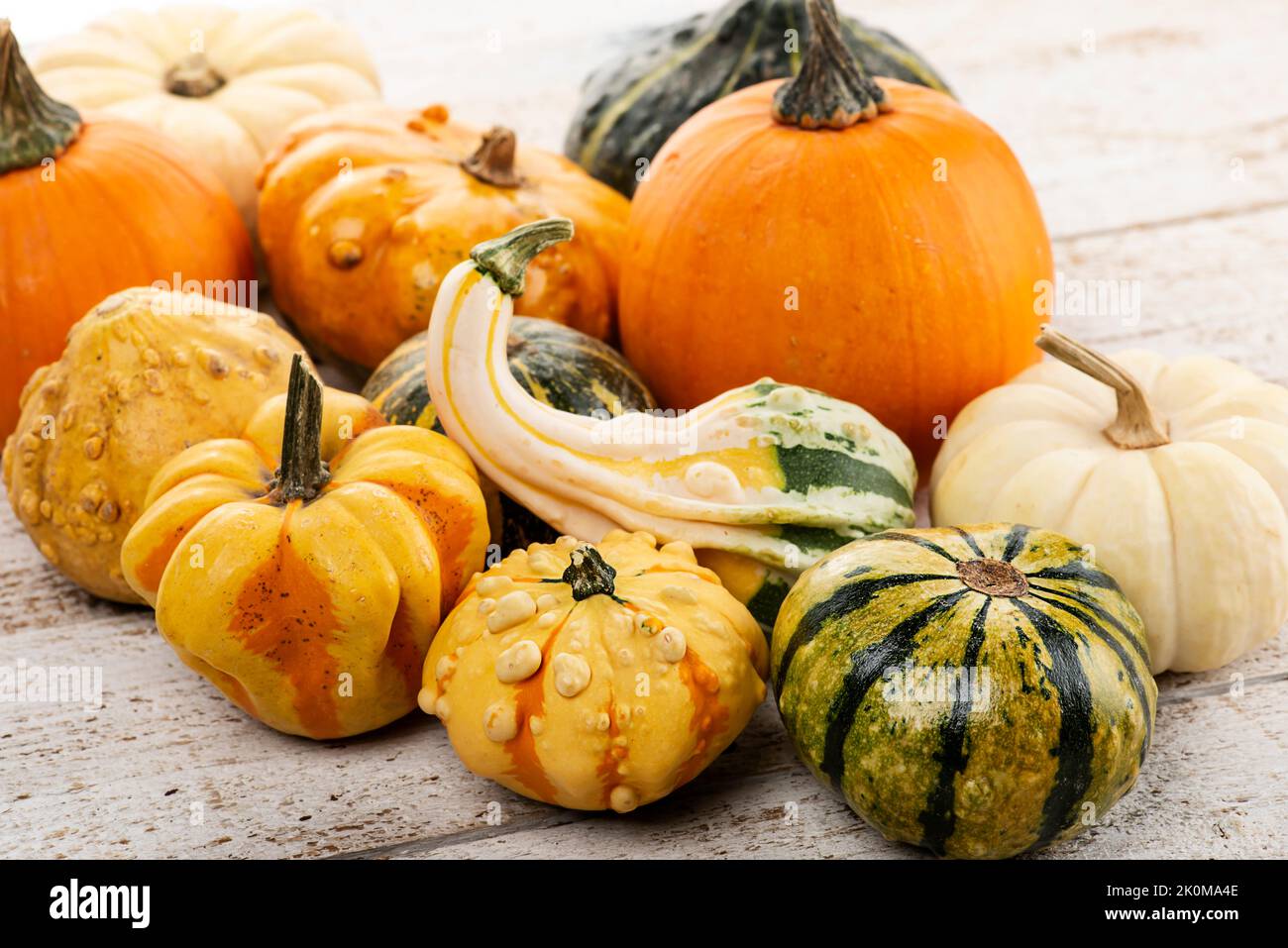 Pumpkins Collection on wooden background Stock Photo