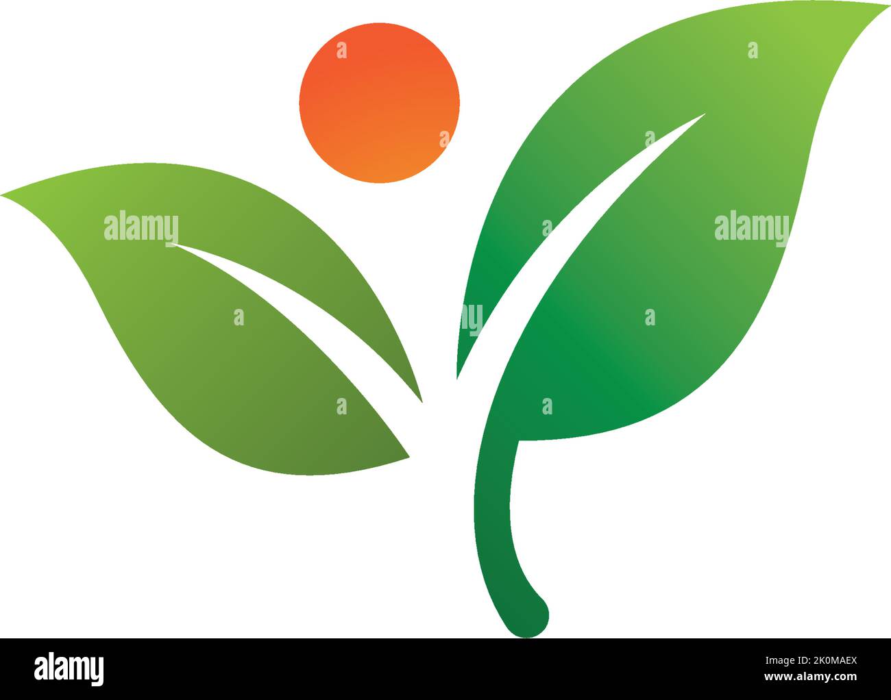 Tree leaf vector logo design eco friendly concept Stock Vector