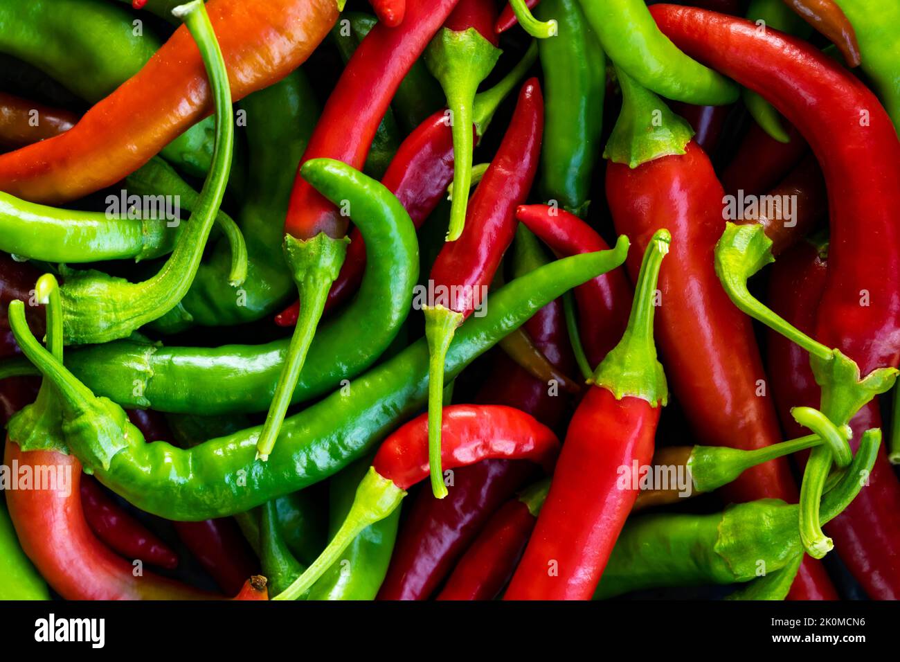 Close up photo of green and red chilli pepper hanging on twig in the ...