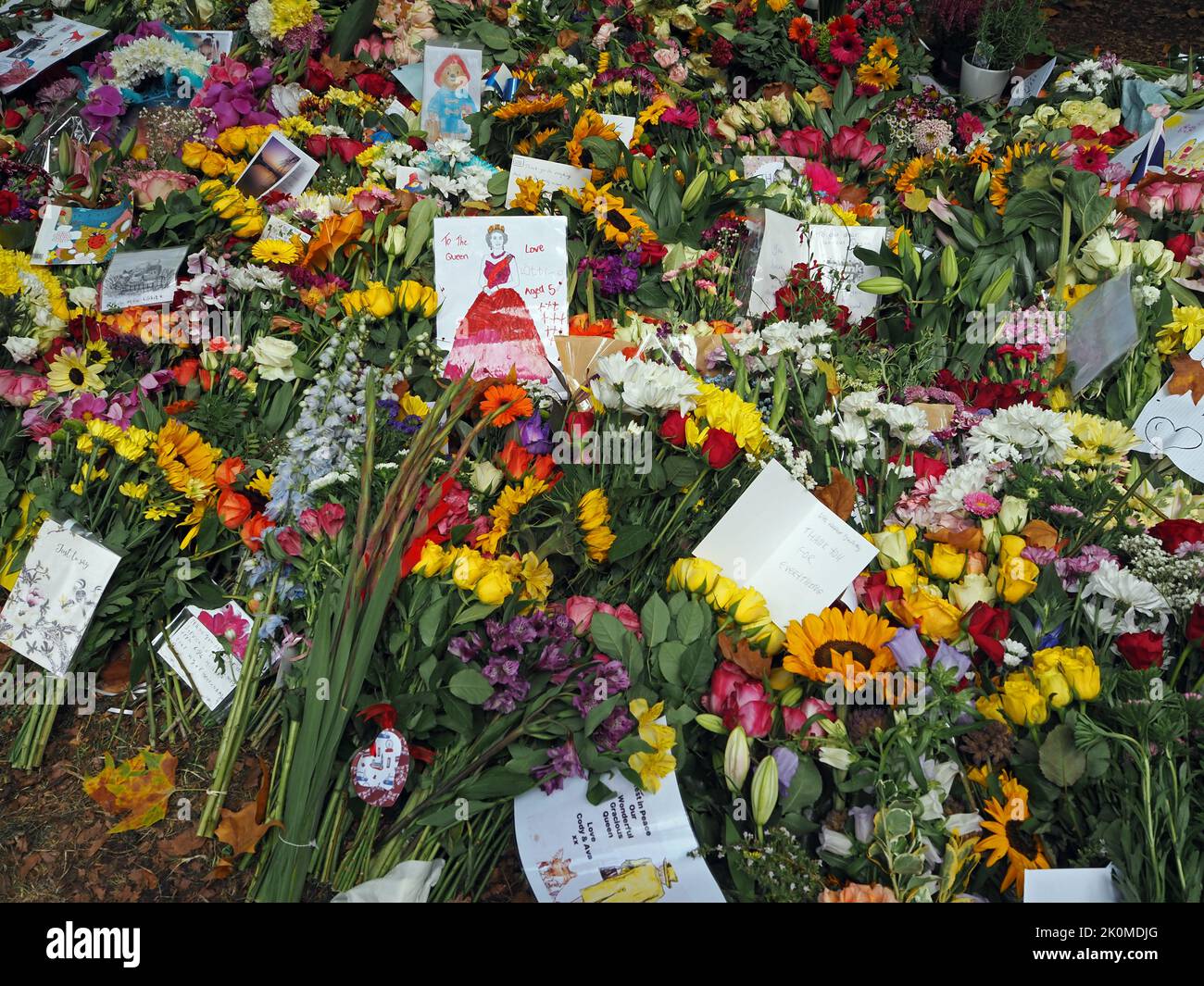 London, UK. 12th Sep, 2022. Death of Queen Elizabeth II. Crowds of people flock to London to pay their respects to the late Queen Elizabeth. Many laying flowers at Buckingham Palace and Green Park. Credit: Julia Gavin/Alamy Live News Stock Photo