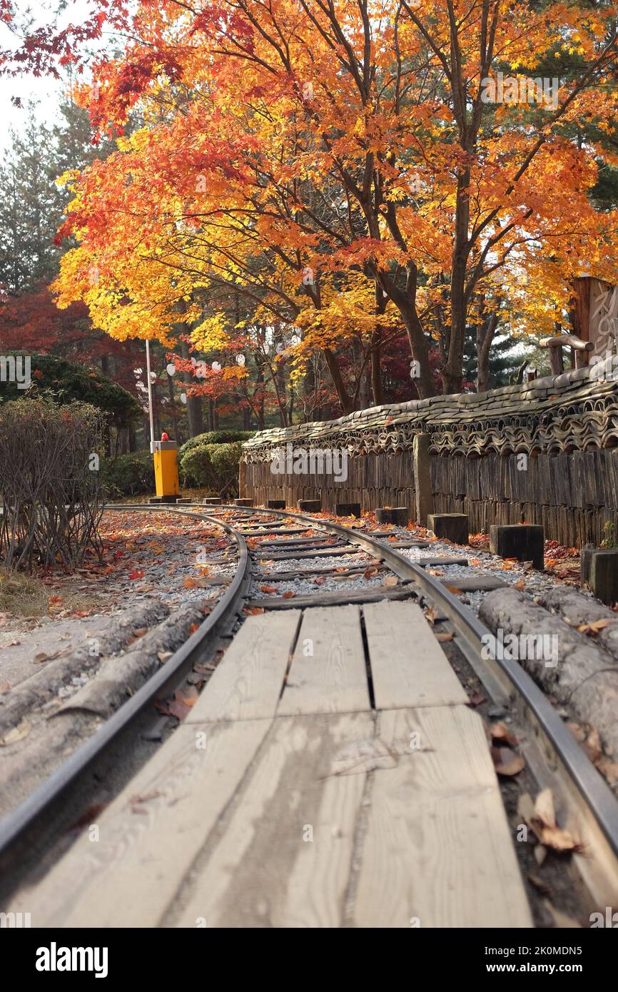 A vertical shot of a railway with fallen autumn leaves Stock Photo - Alamy