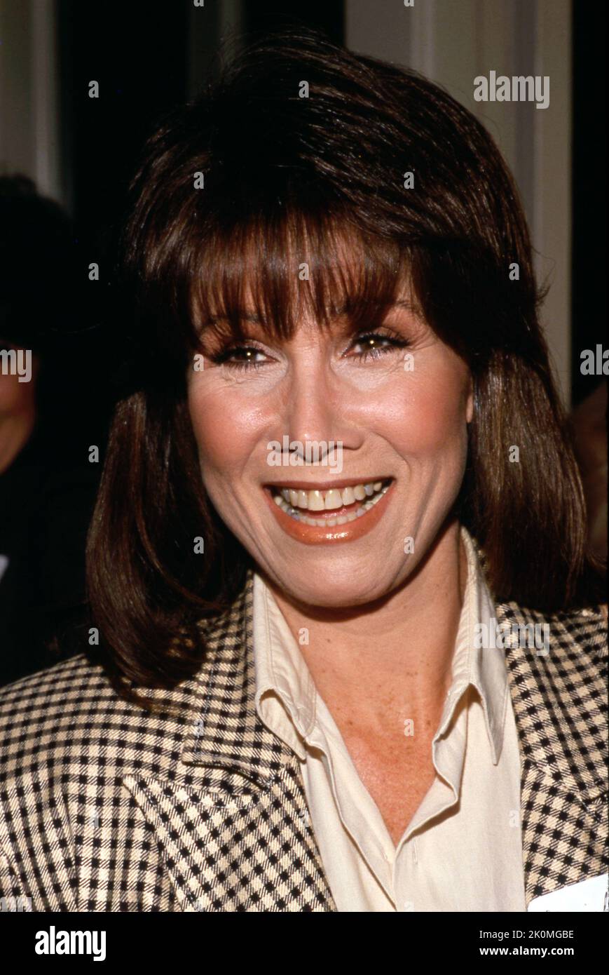 Michele Lee Circa 1980's Credit: Ralph Dominguez/MediaPunch Stock Photo