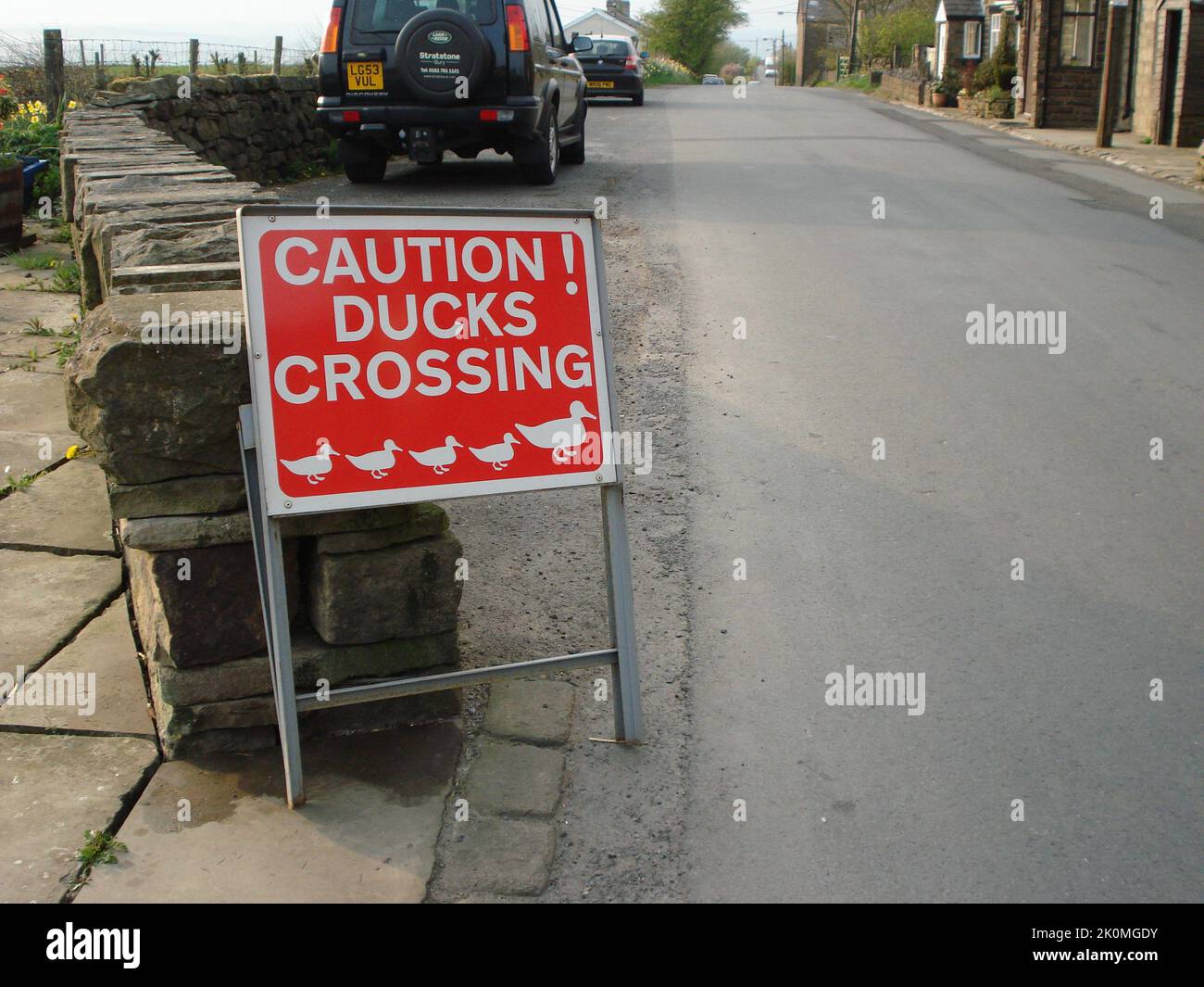 Caution duck crossing road signs Stock Photo - Alamy