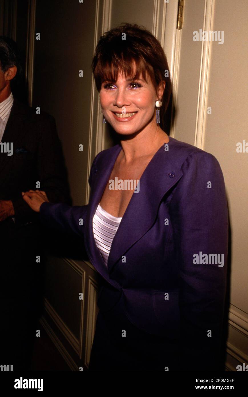 Michele Lee Circa 1980's Credit: Ralph Dominguez/MediaPunch Stock Photo