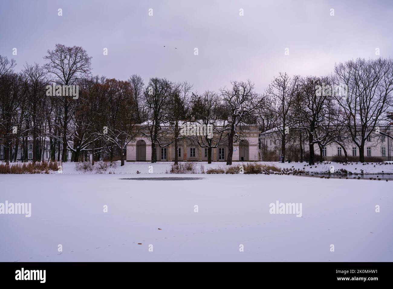 Winter squirrels in Lazienki PArk in Warsaw Stock Photo