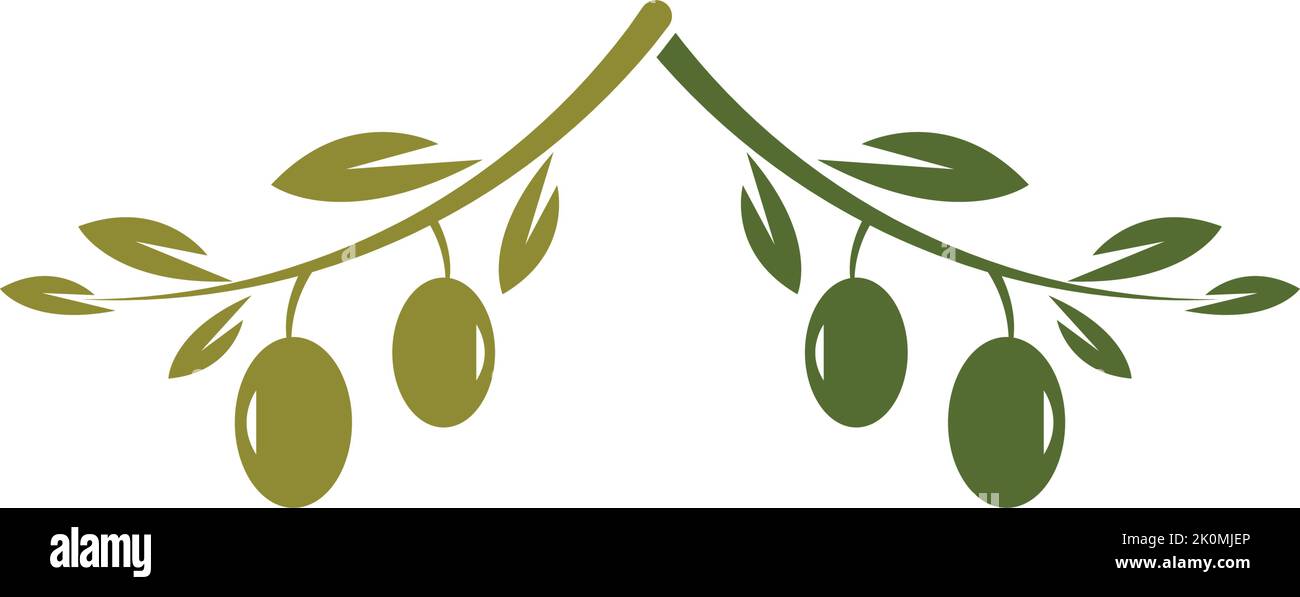 Olive logo template vector icon illustration design Stock Vector