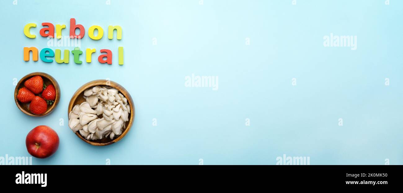 CO2 energy monoxide carbon ecology label concept. Carbon neutral. Local