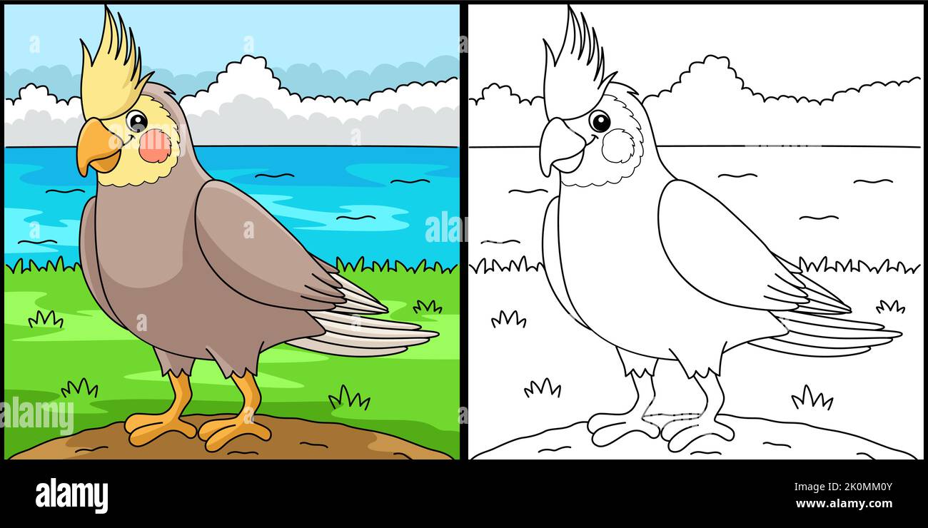 Cockatiel Animal Coloring Page Illustration Stock Vector Image Art 