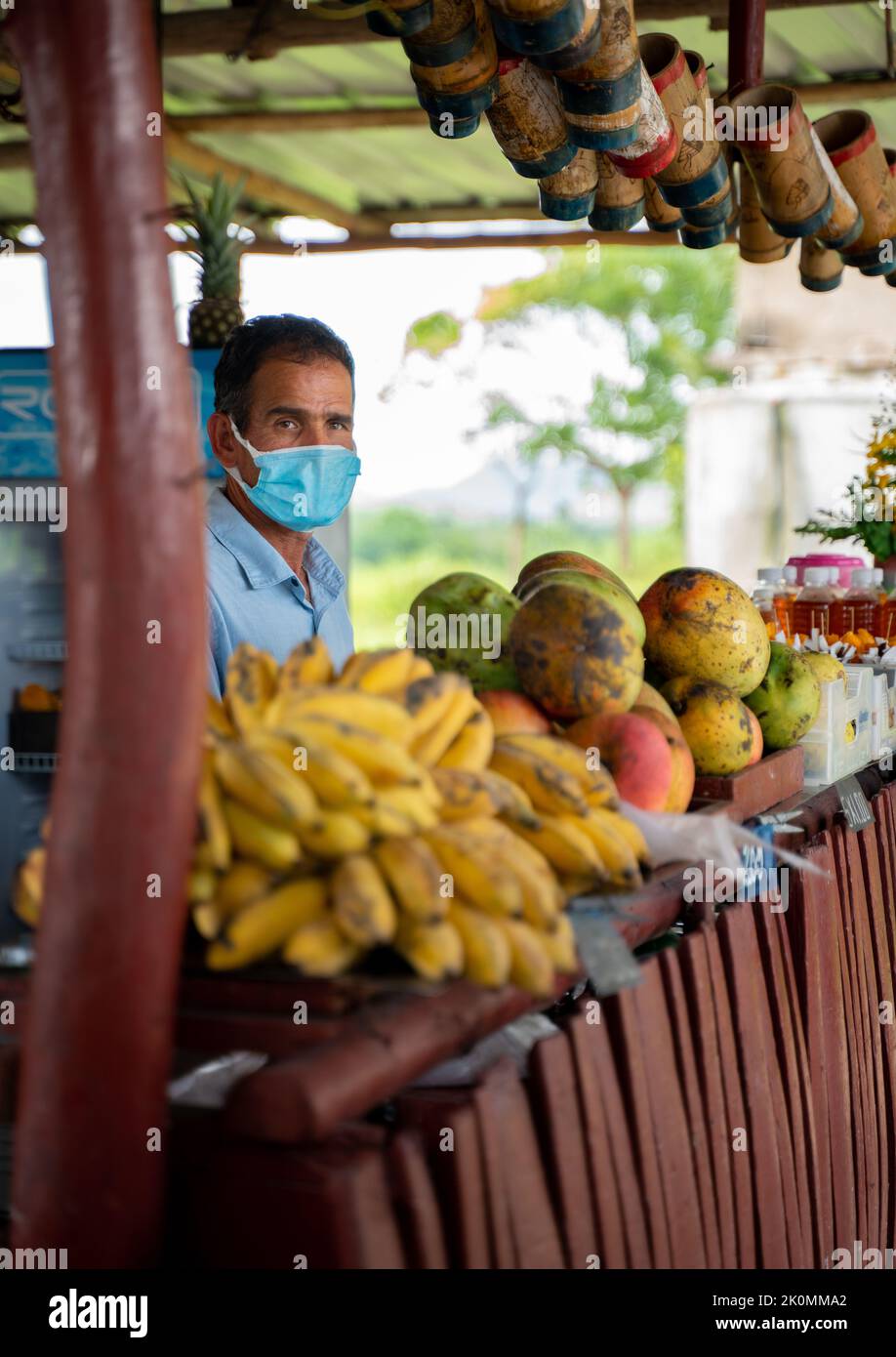 Veradero, Cuba - July 23 2022: Cuban man selling fruit at a food stand in Veradero, Cuba. Banana and mangos for sale at a roadside shop. Stock Photo