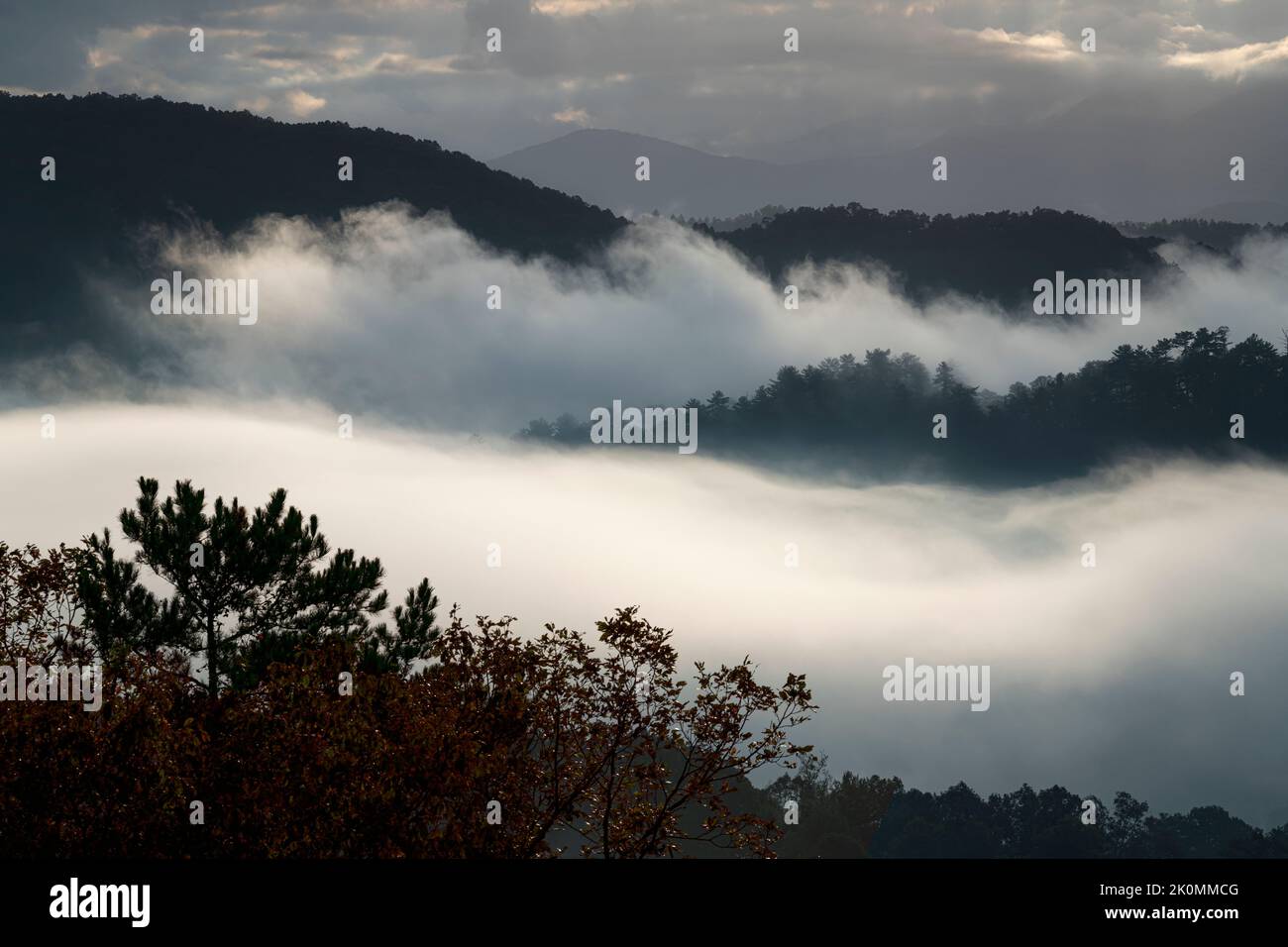 Tree lined mountain ridges are surrounded by banks of fog that give the ...