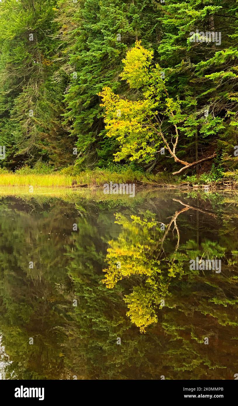 Kayakyng in early fall, Quebec, Canada Stock Photo