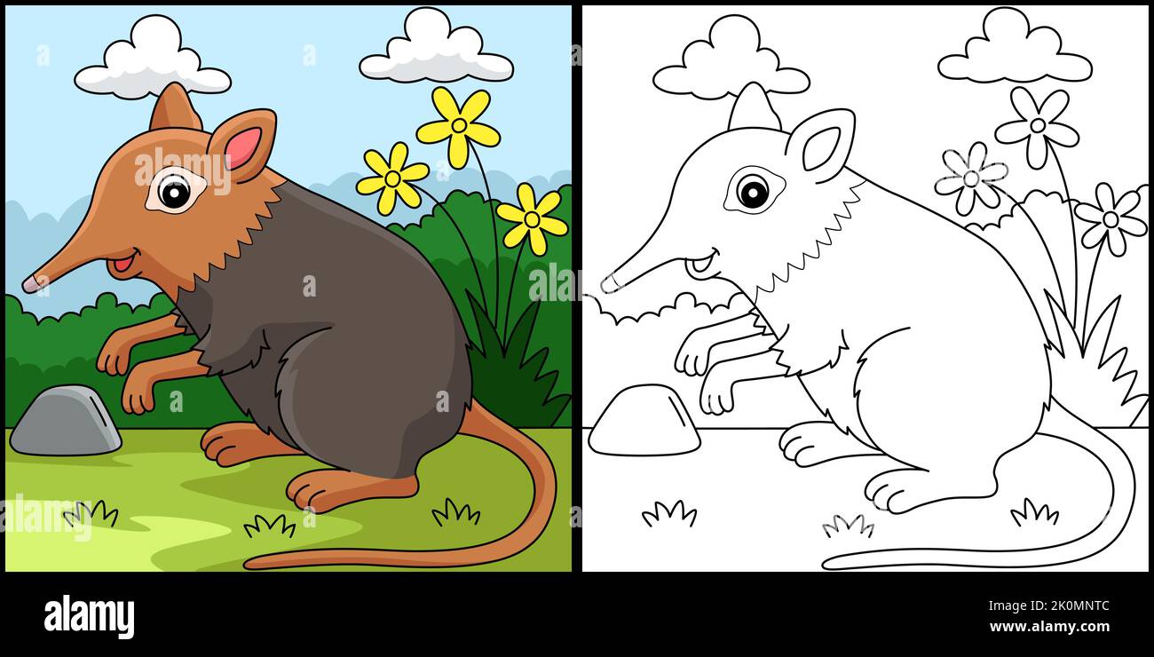 Elephant Shrew Animal Coloring Page Illustration Stock Vector