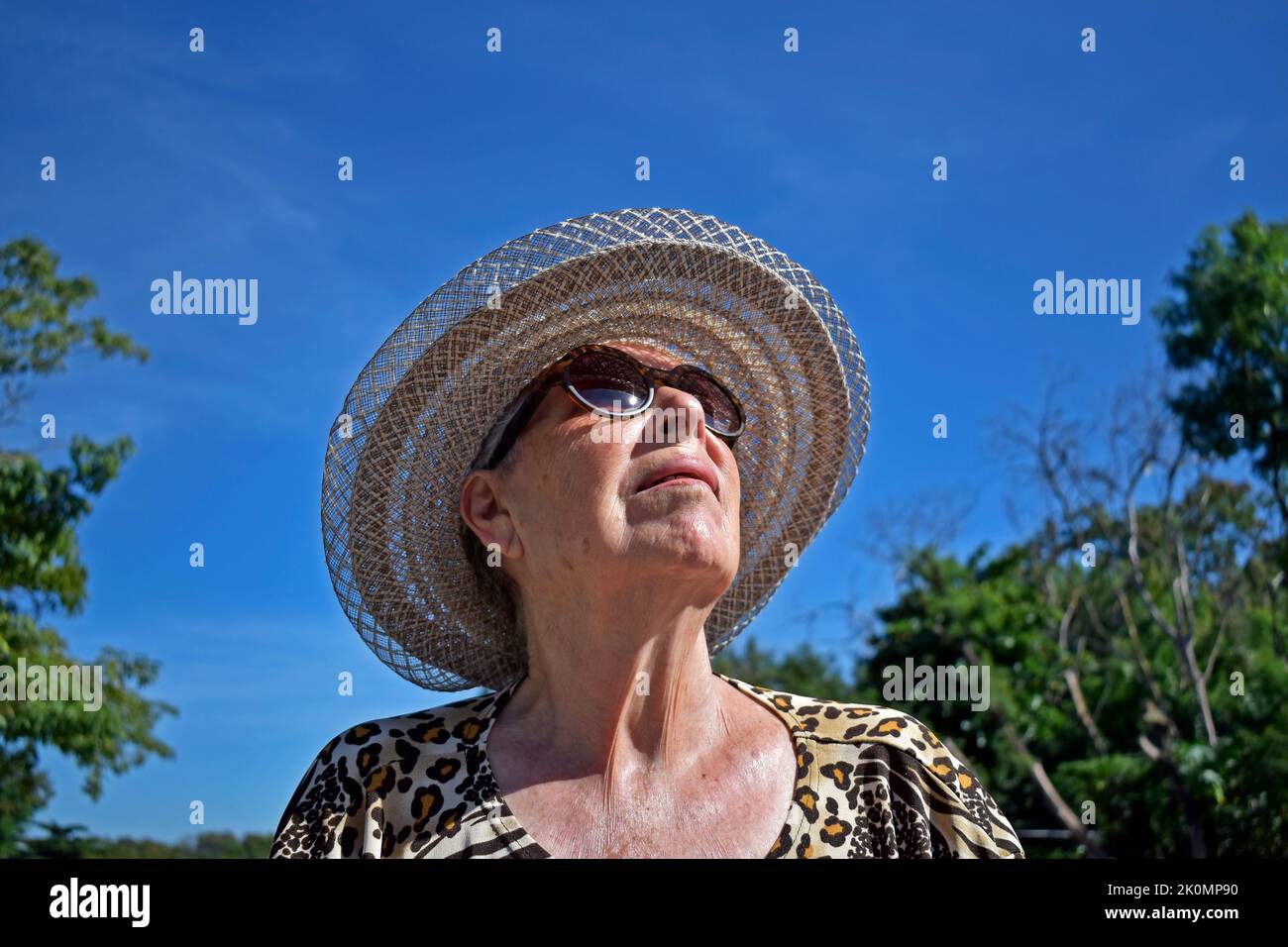 Senior old woman sunbathing in the park Stock Photo