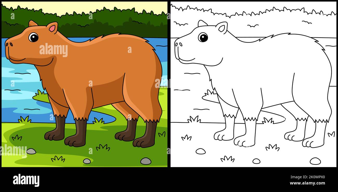 Capybara Animal Coloring Page Illustration Stock Vector