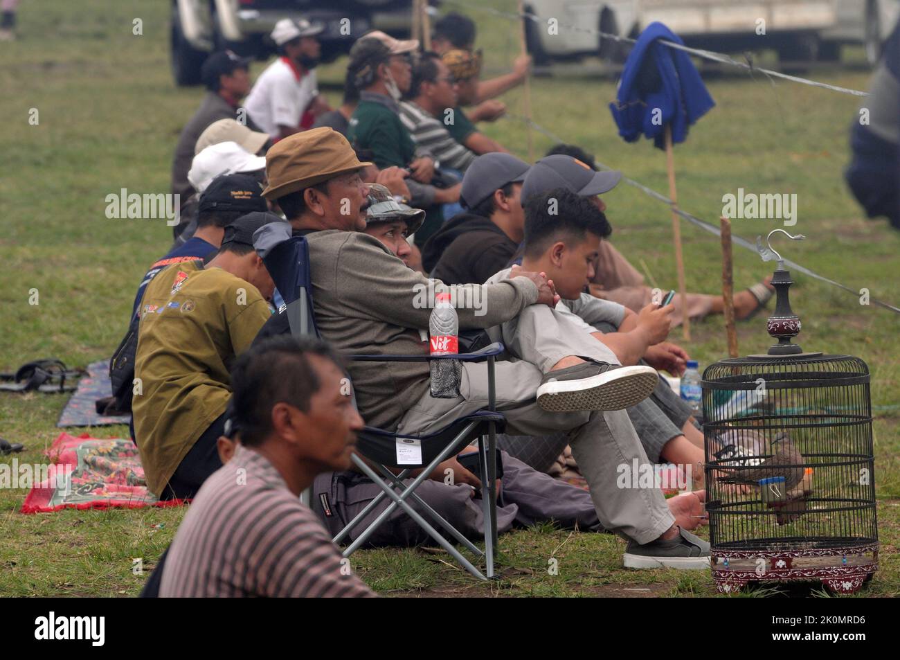 ALUN ALUN SELATAN, YOGYAKARTA, Indonesia. 11th Sep, 2022. Bird lovers from various regions enlivened the Dekukur Bird (Spilopelia chinensis) Natural Sound Art Competition in the South Square area, Yogyakarta, on September 12, 2022. A total of 222 participants were divided into three, beginner, junior, senior. five bird sound indicators namely front sound, middle sound, end sound, basic sound and rhythm style. The Dekukur (Spilopelia chinensis) has a medium-sized body (30 cm) with a pinkish-brown color, the tail of this bird looks long with a thick white outer edge, Wing feathers are darker Stock Photo