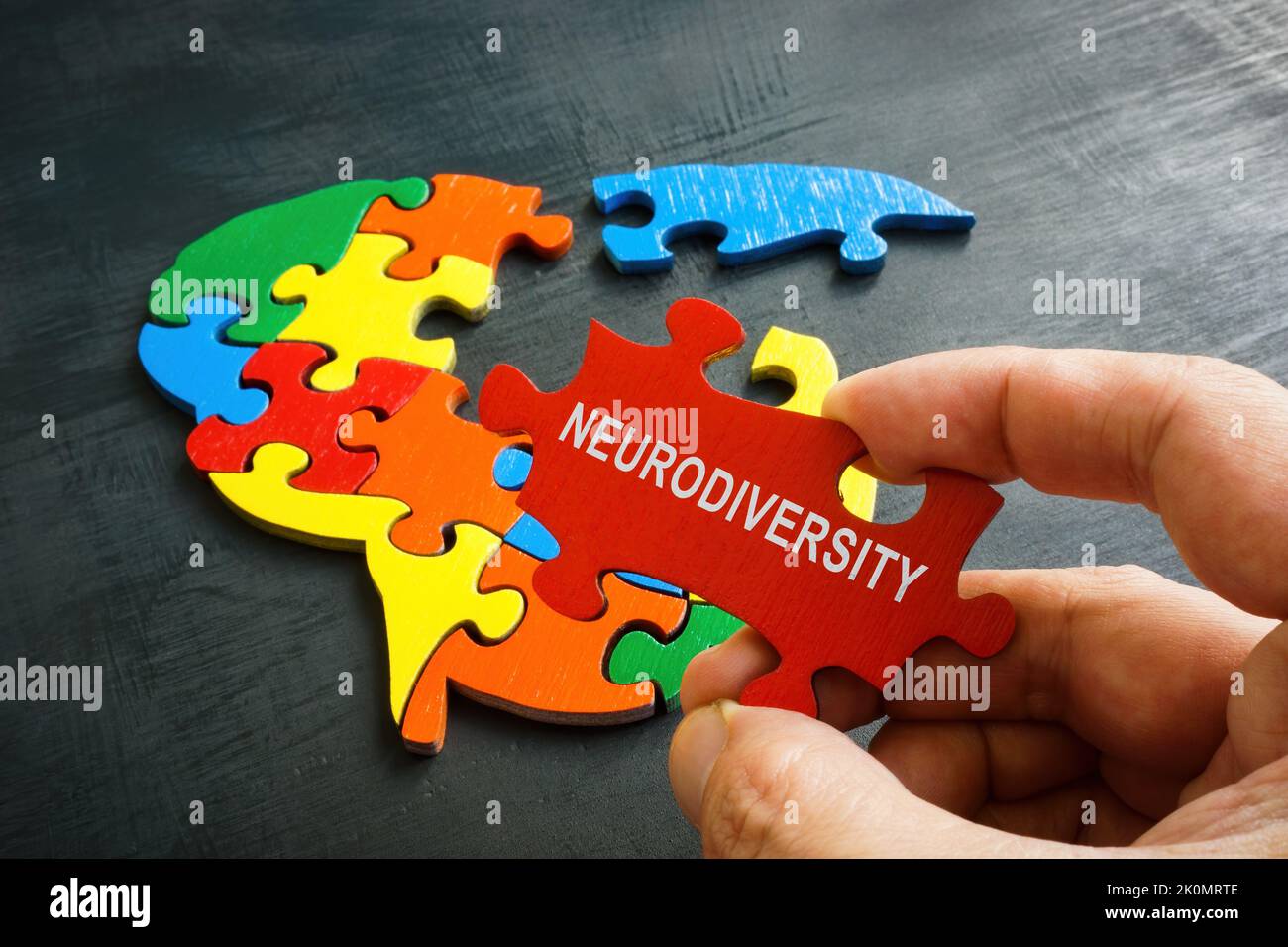 Neurodiversity concept. Brain from a puzzle and a hand holds a piece with an inscription. Stock Photo