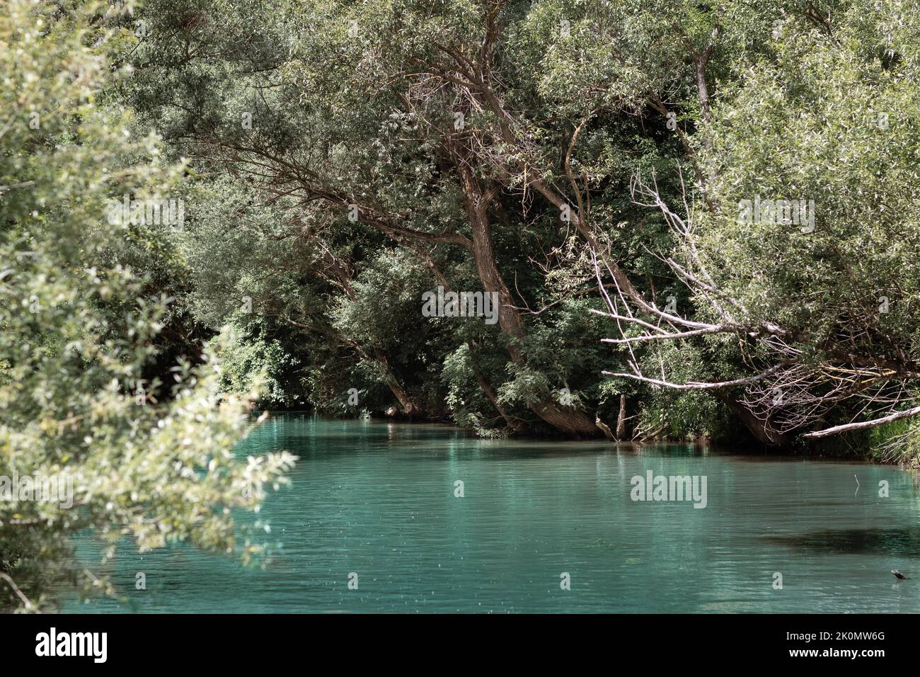 A closeup of a riverscape with blue water and trees on both sides and the background Stock Photo