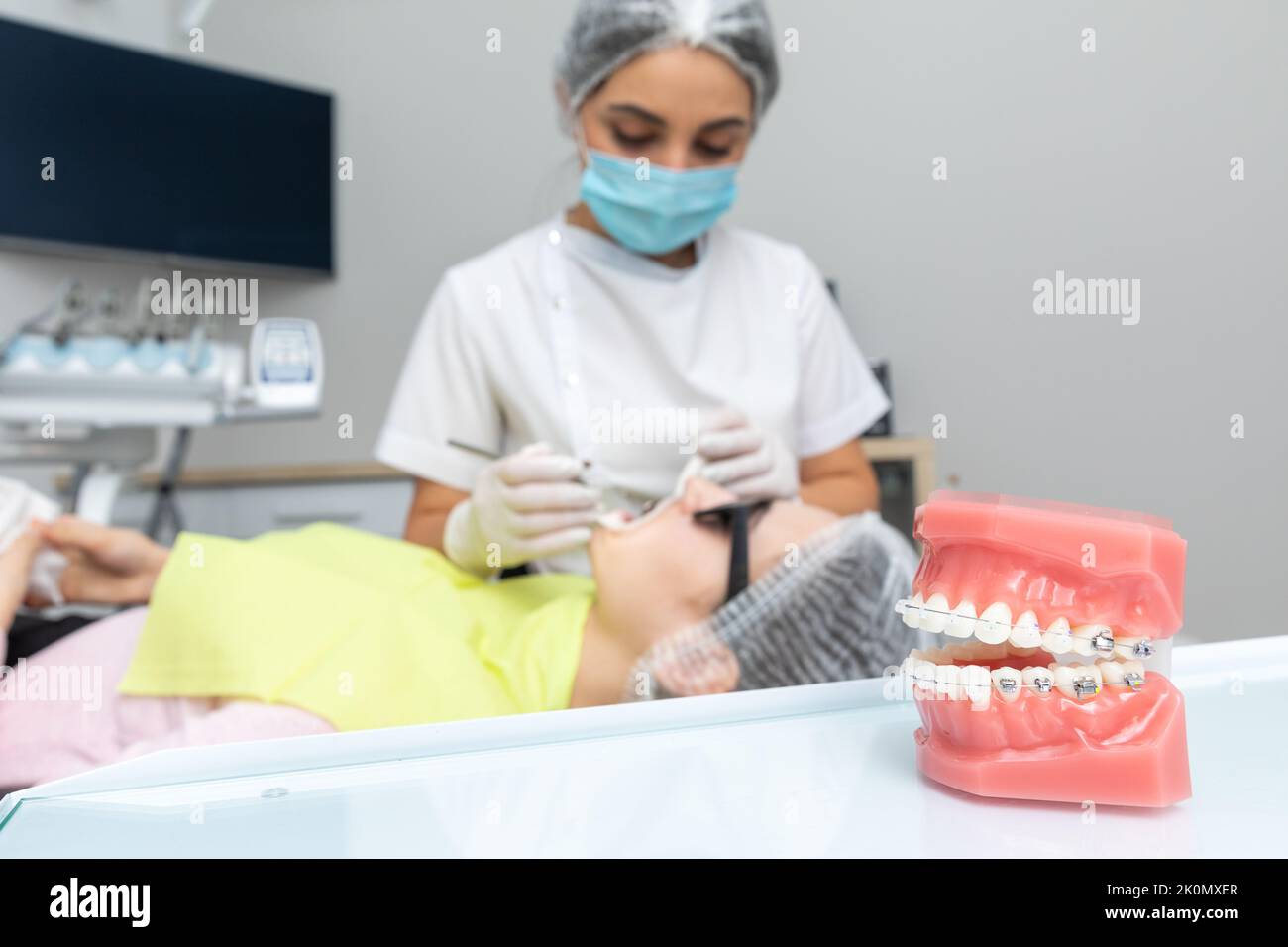 Orthodontic model and dentist tool. Teeth model of varities of