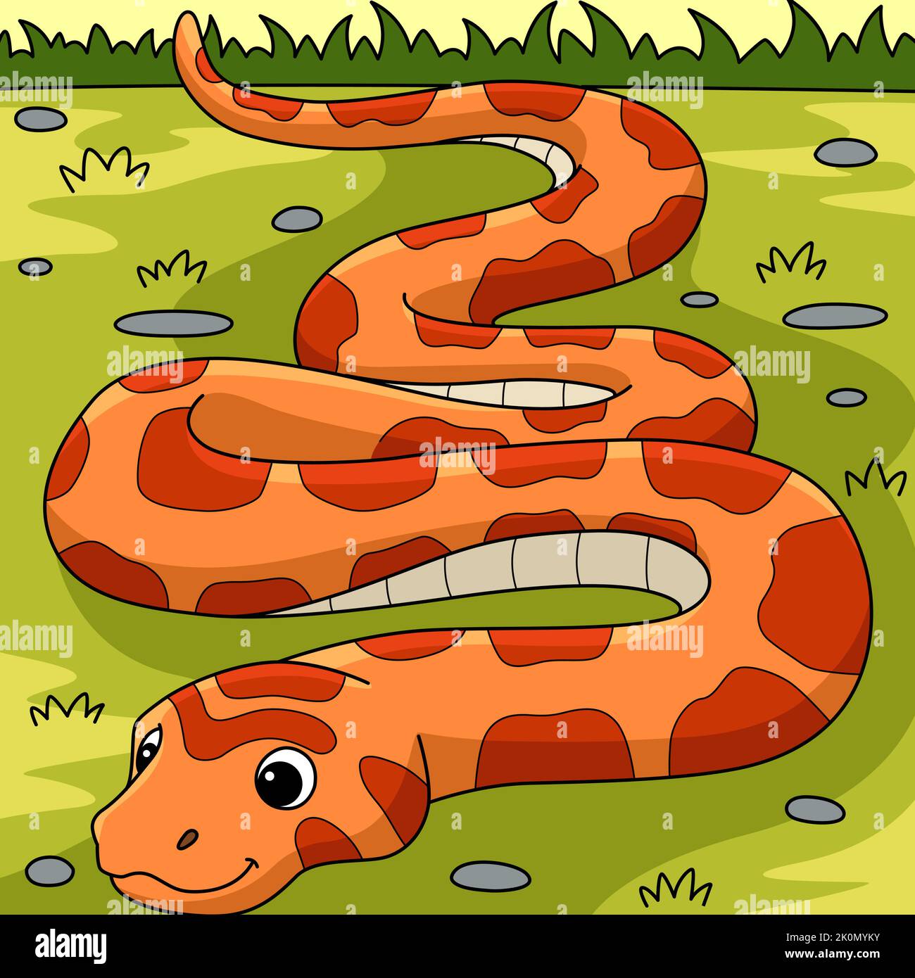 Corn Snake Animal Colored Cartoon Illustration Stock Vector Image & Art
