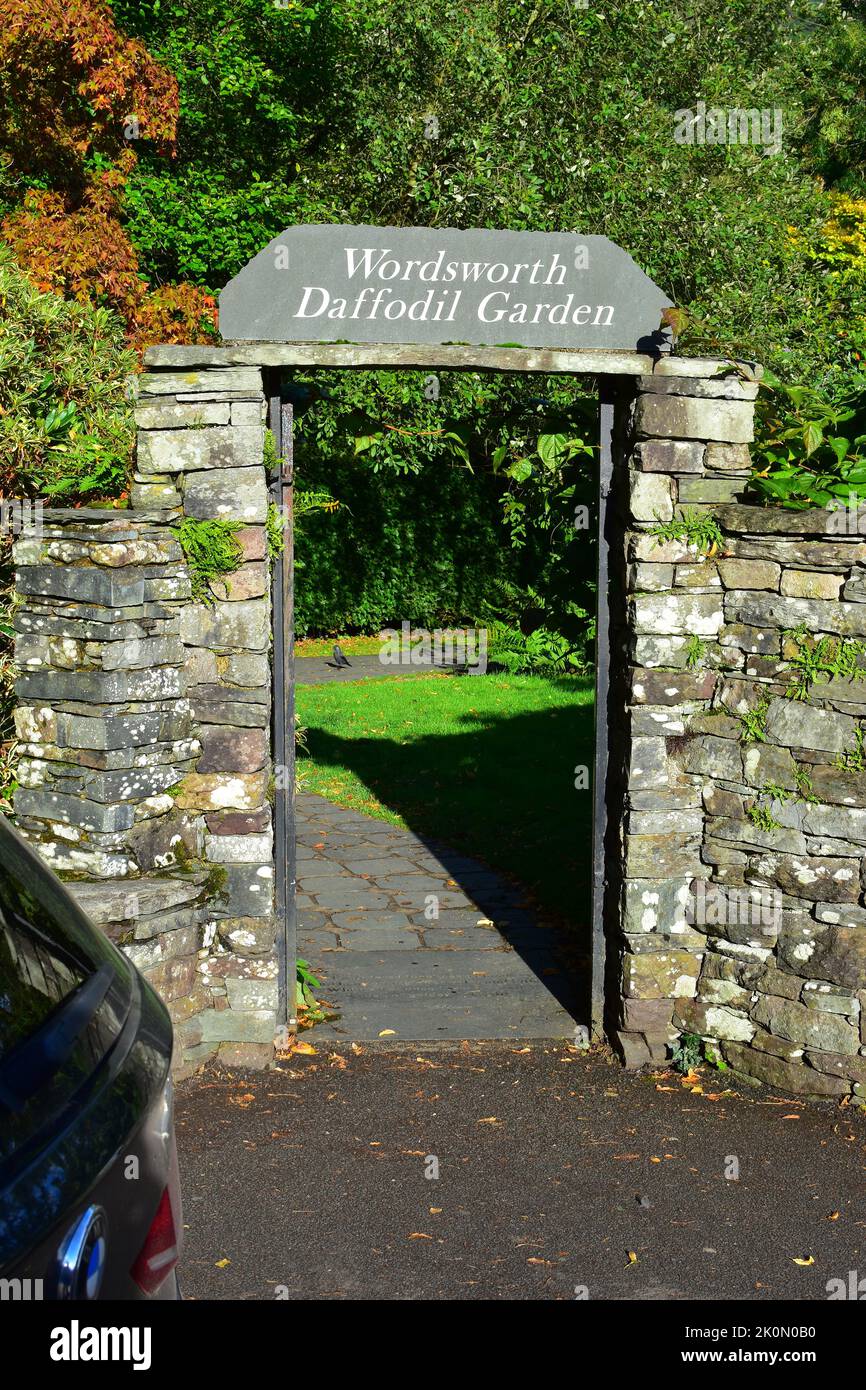 Wordsworth Daffodil Garden, Grasmere Lake District England UK Stock