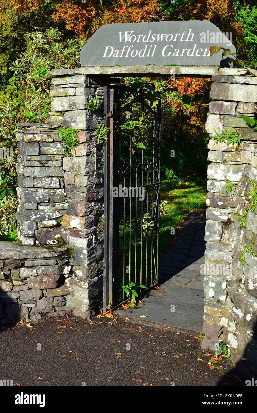 Wordsworth Daffodil Garden, Grasmere Lake District England UK Stock
