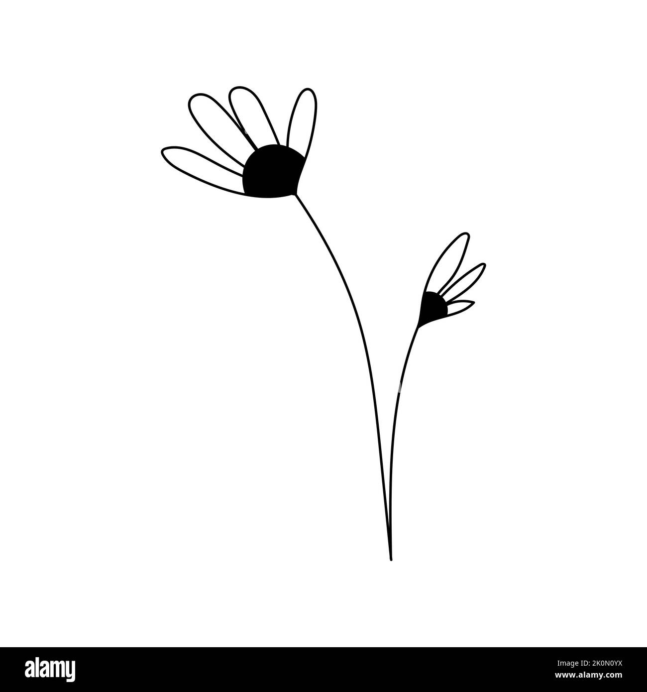 Illustration of a flower, silhouette of a twig with flowers and leaves. Vector illustration. Floral print Stock Vector