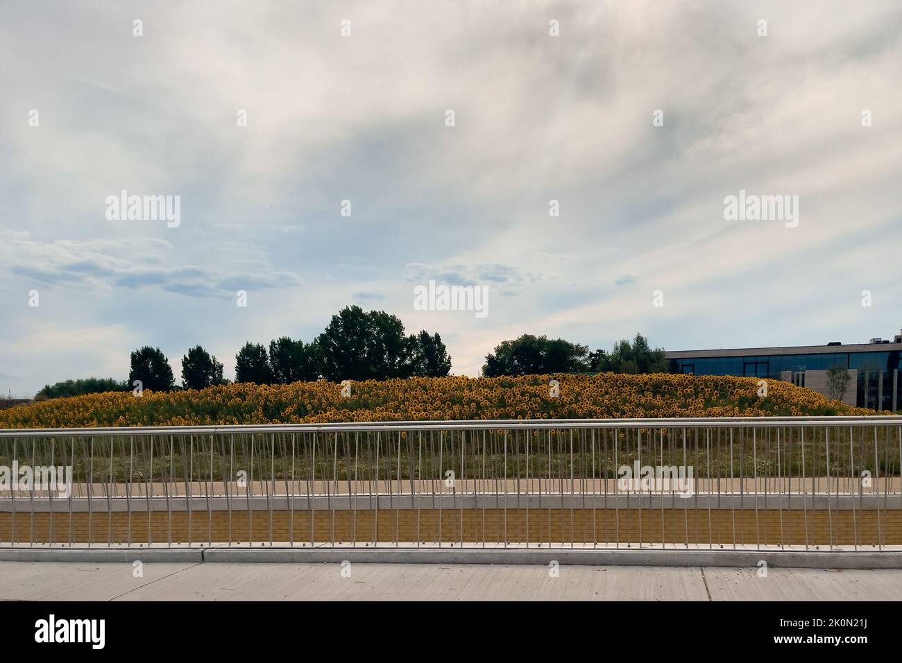 Freeway Window View A car window view over the roadside of a freeway in Belgium Stock Photo ...