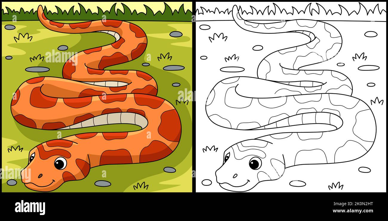Corn Snake Animal Coloring Page Illustration Stock Vector Image & Art ...