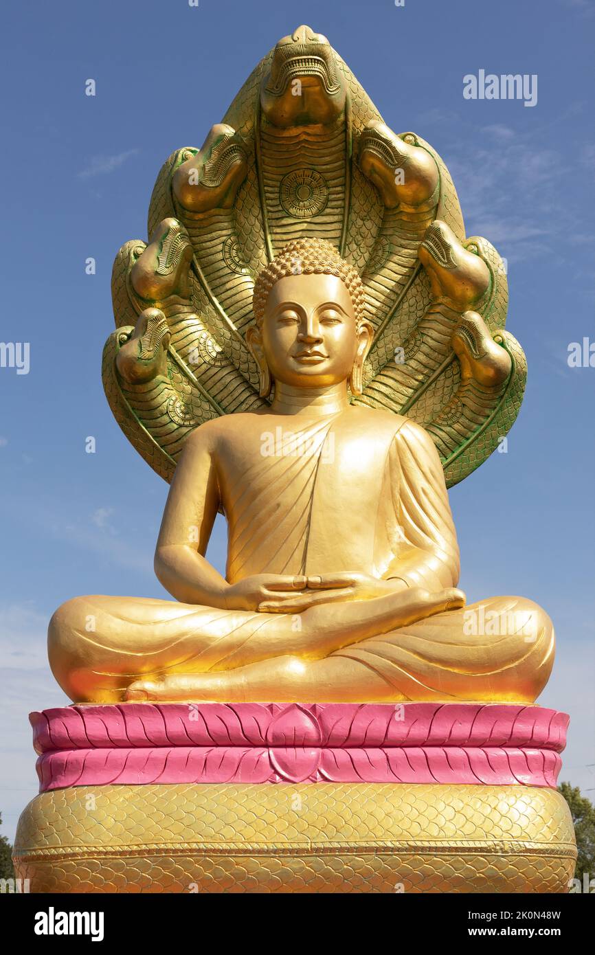 A gold Buddha with serpents statue at Watt Munisotaram Cambodian Buddhist Monastery in Hampton, Minnesota. Stock Photo