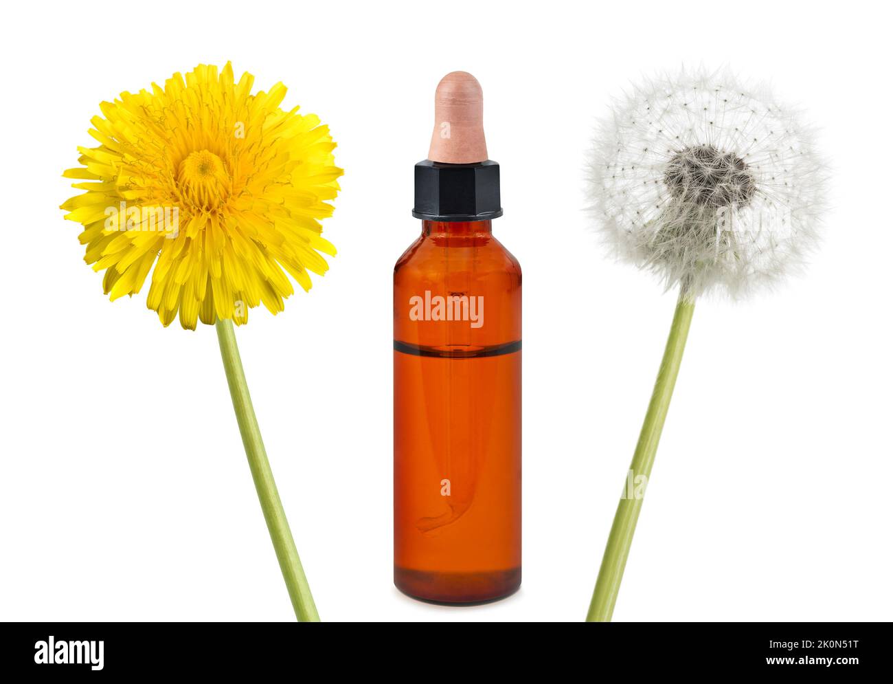 dandelion flowers and bottle with essence isolated on white background Stock Photo