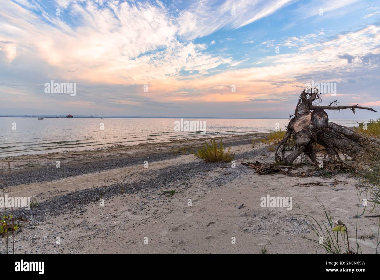 Beautful sunset over a deserted beach with driftwood on a lake in autumn. Lake Eire, Canada. Stock Photo