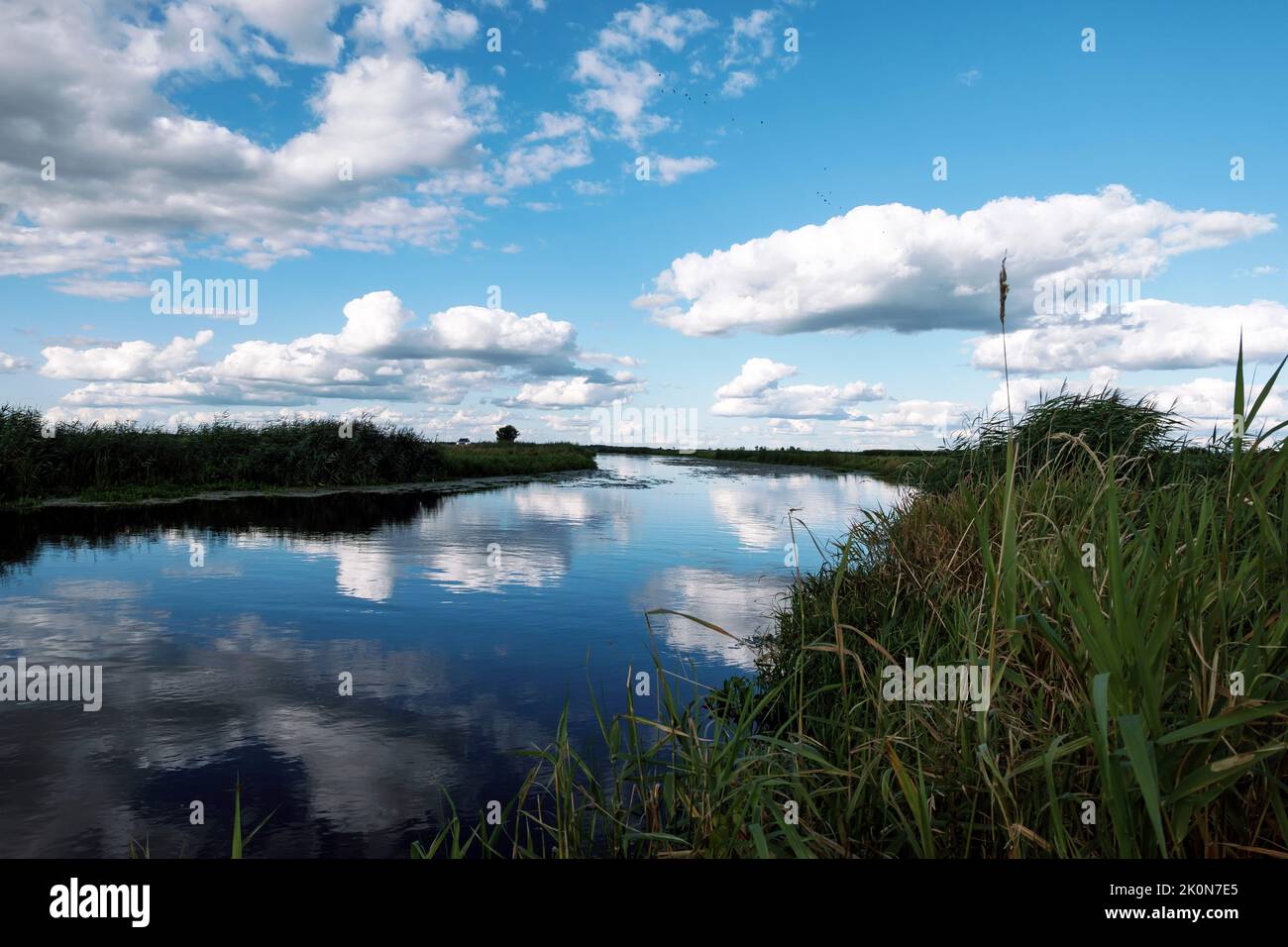 Clouds reflections in the water.  Wild river nature with Moody cloudscape. Rushes by swamp and beautiful dramatic sky. Countryside landscape in polish Stock Photo