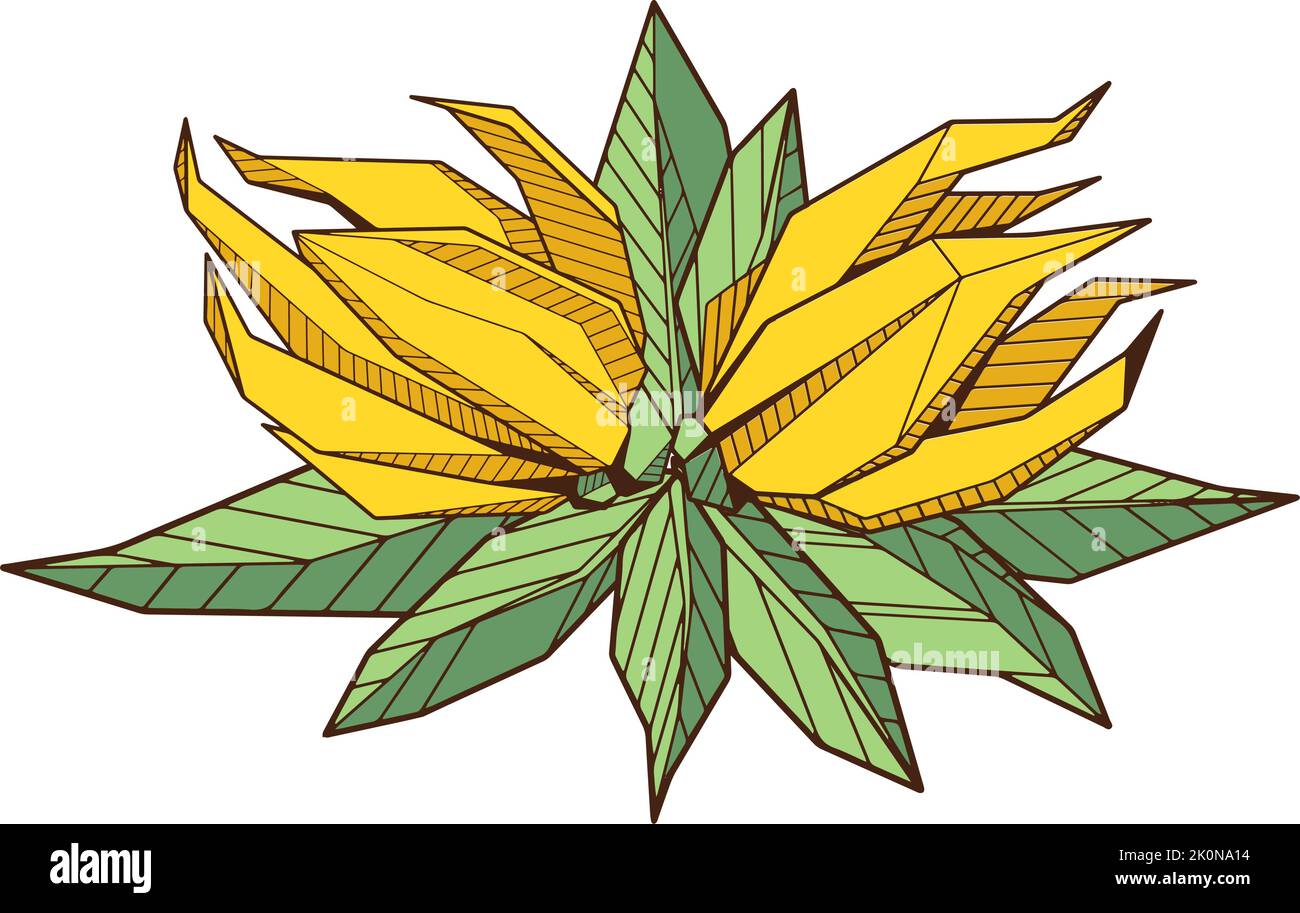 Colored hand drawind geometrical blossoming flower, Ylang-Ilang bud ...