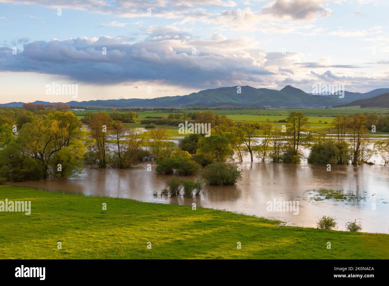 Floodplain of river Turiec at Laskar village, Slovakia. Stock Photo