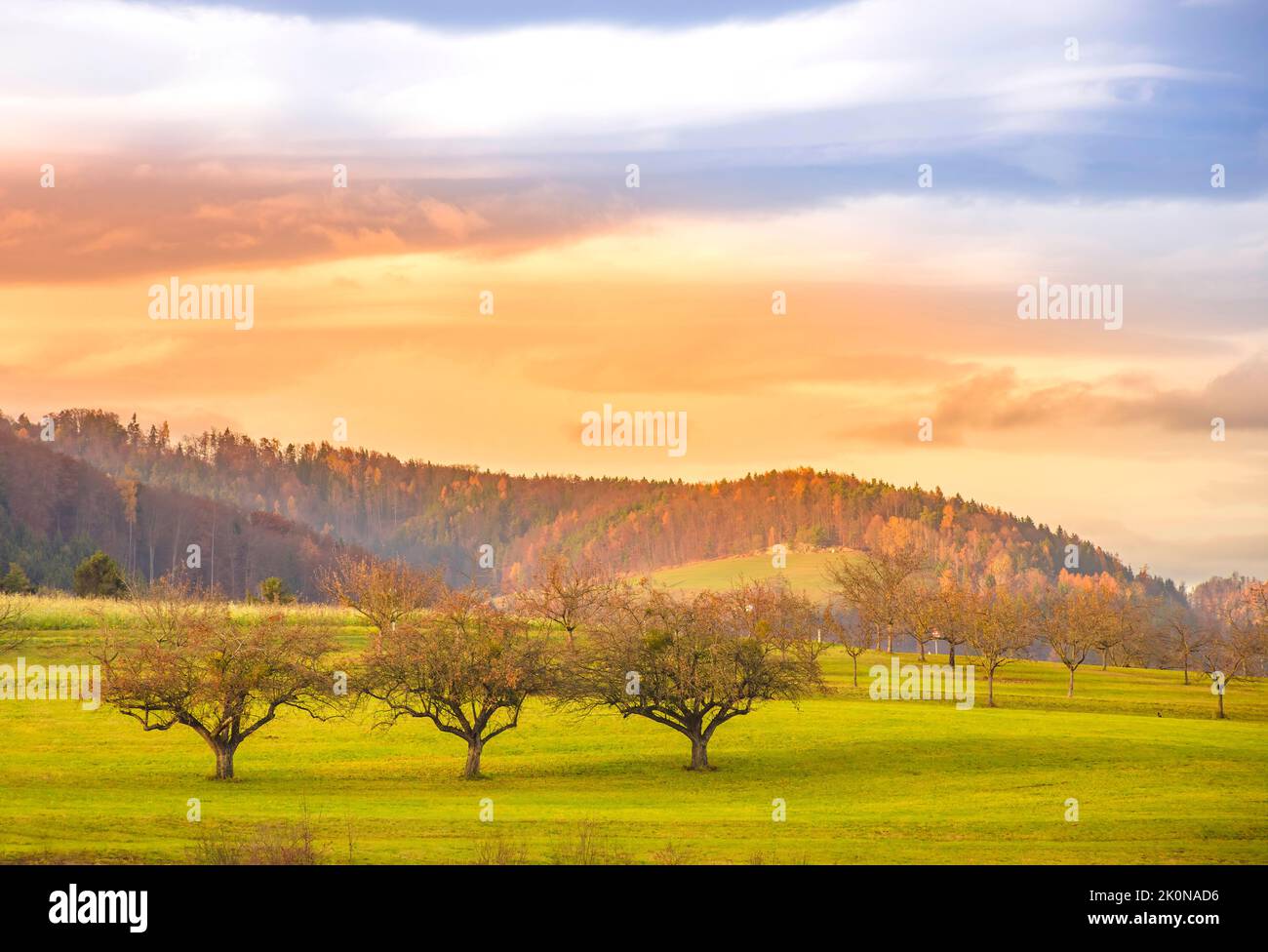 Autumn landscape with picturesque trees and colorful sunset sky Stock Photo
