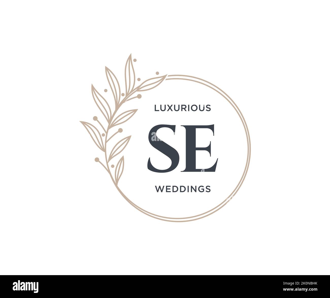 SE Initials letter Wedding monogram logos template, hand drawn modern minimalistic and floral templates for Invitation cards, Save the Date, elegant Stock Vector