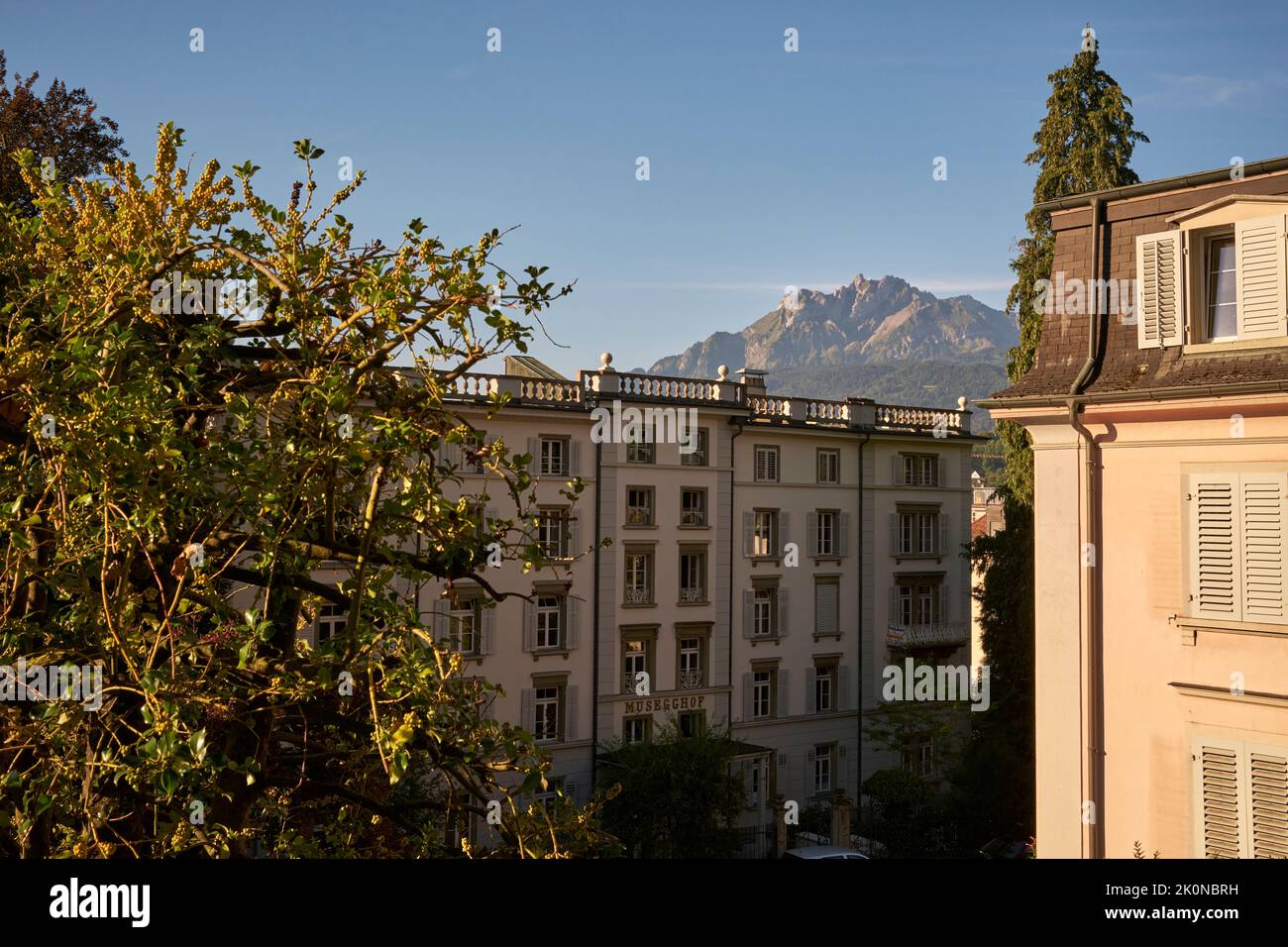 View of Trees and apartment buildings near mountain Stock Photo - Alamy