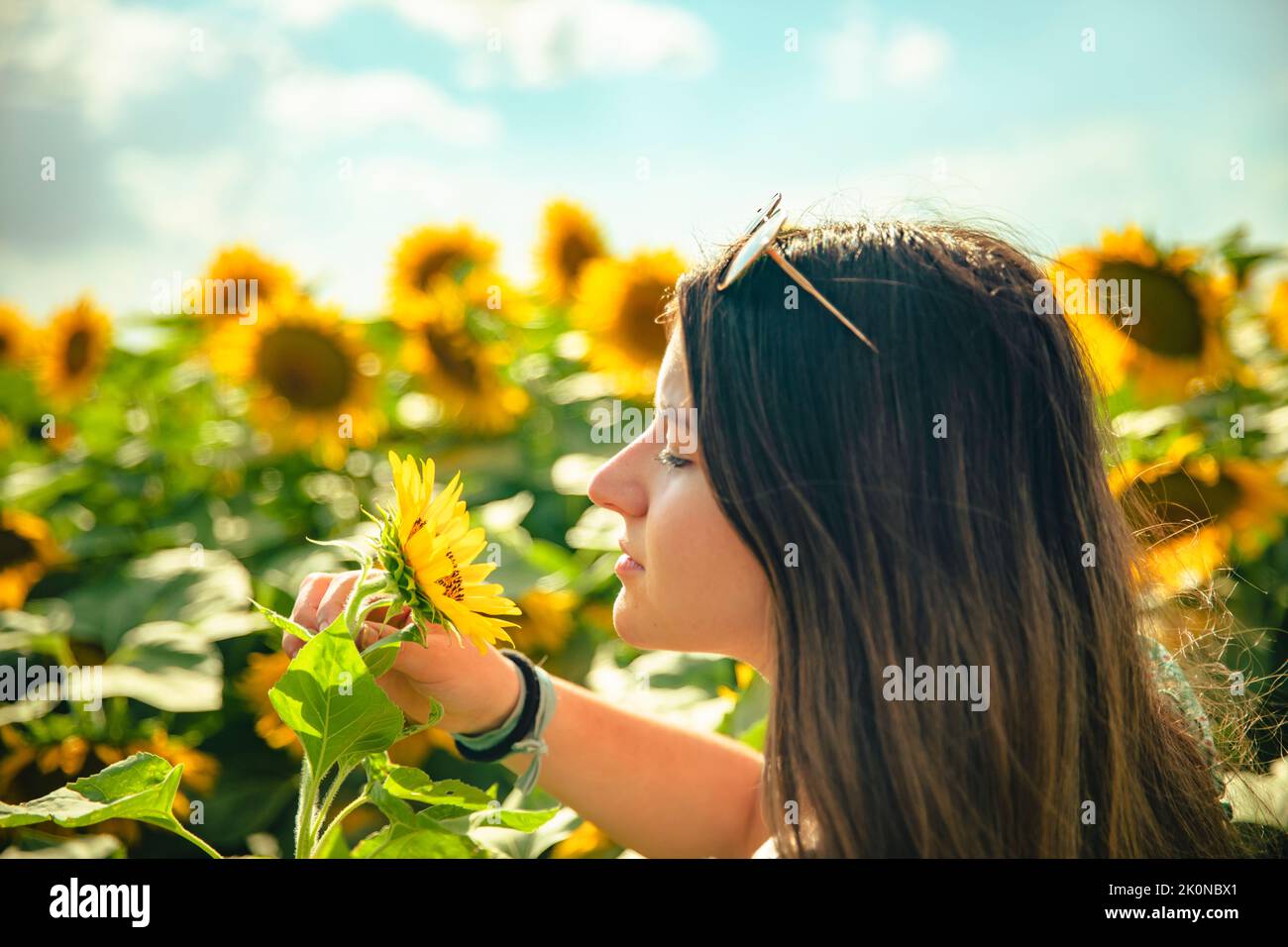 Young brunette girl smelling a sunflower in a field of sunflowers Stock ...