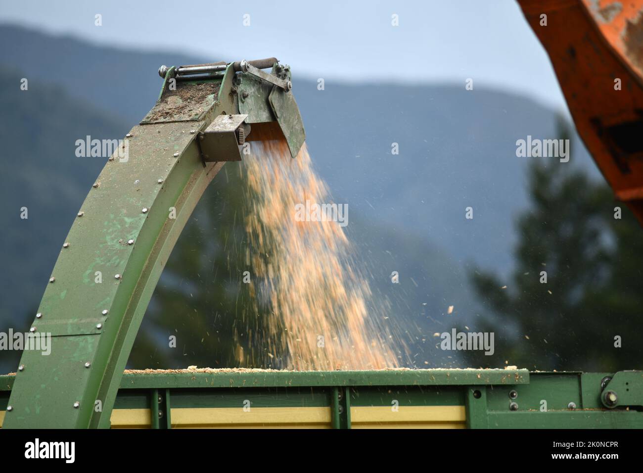 A chipping machine drops woodchip into a trailer Stock Photo