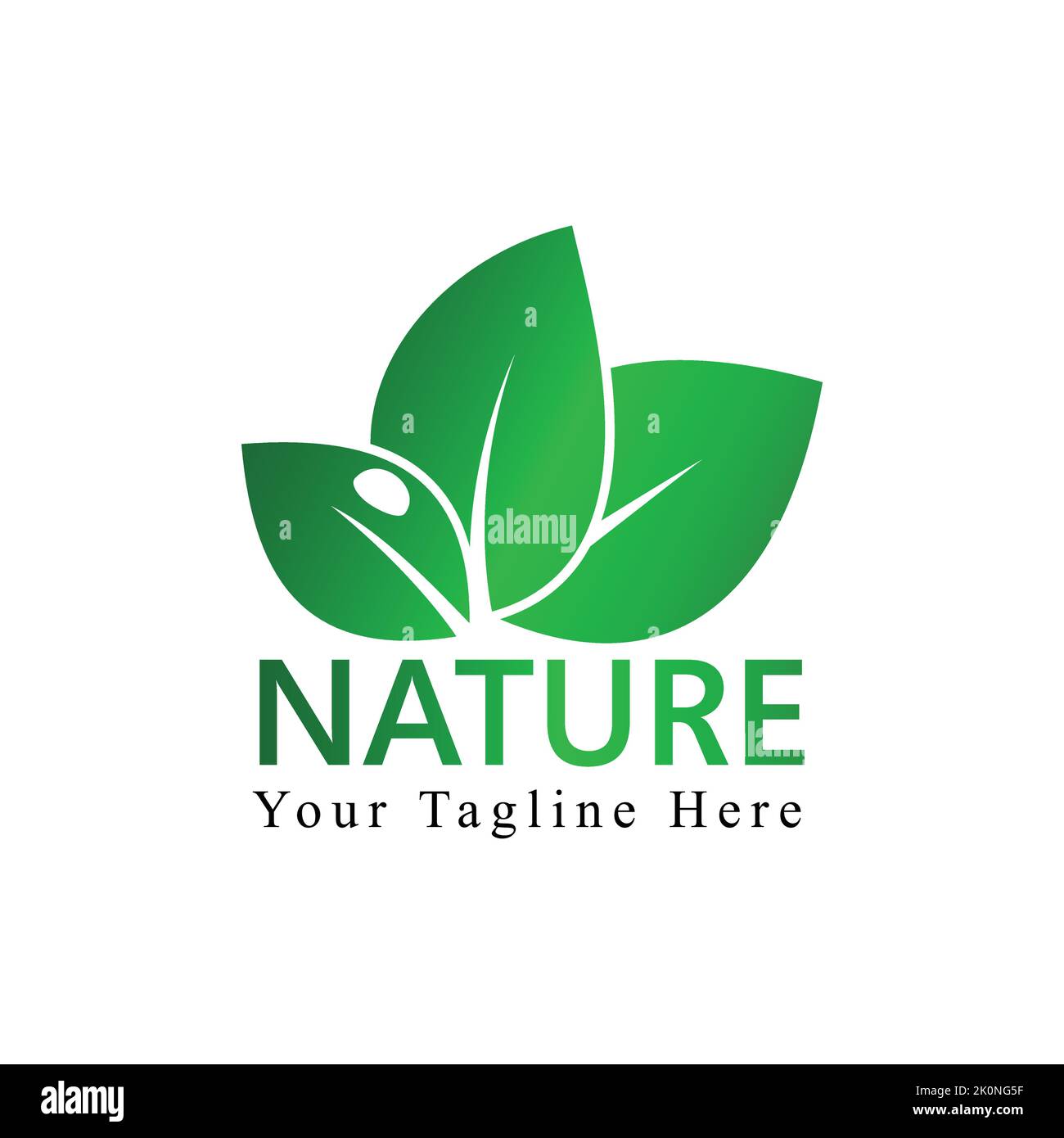Green Leaves Natural environmental Company vector logo template Stock Vector