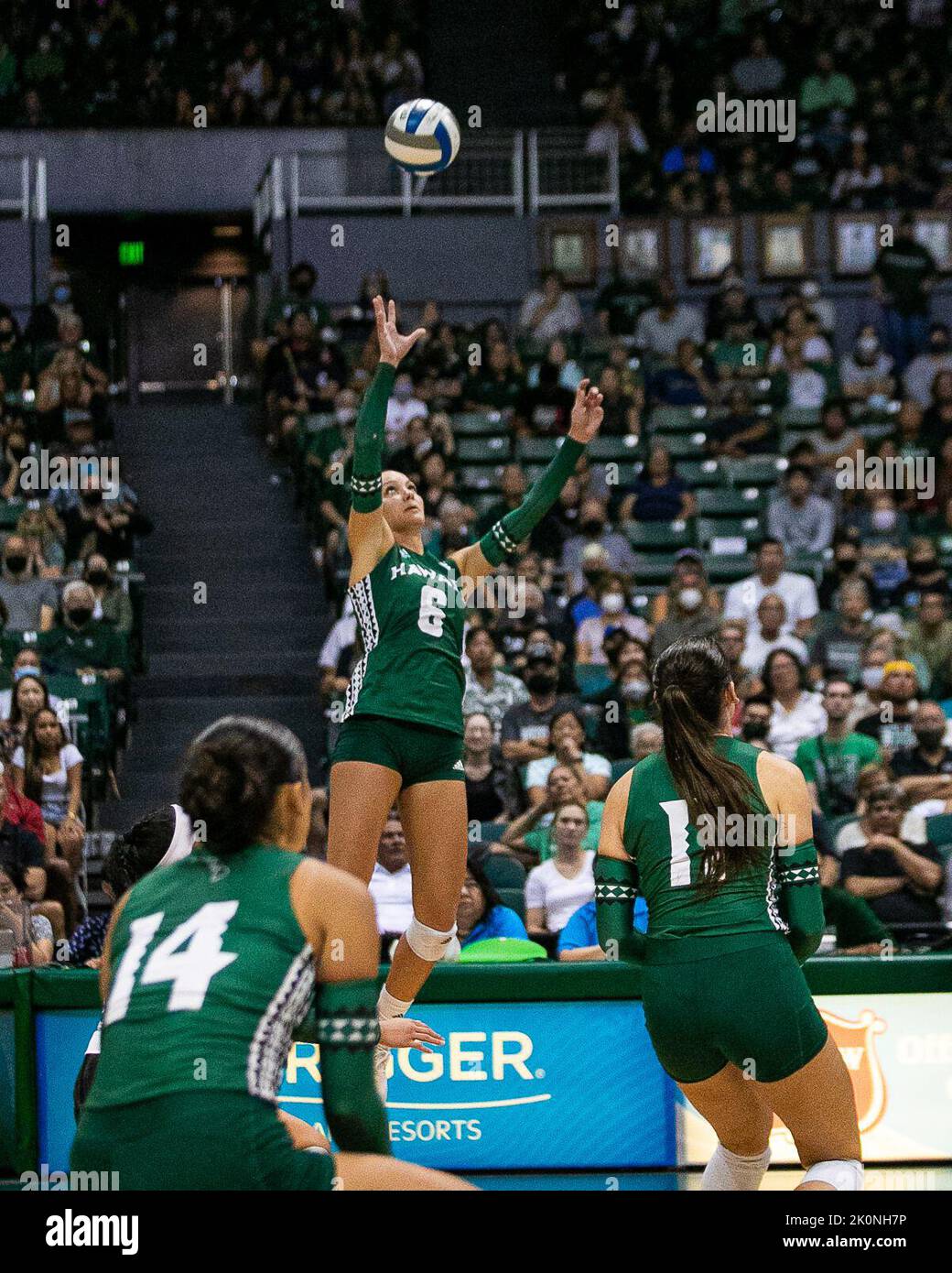 Honolulu, Hawaii. September 10, 2022 Hawaii outside hitter Riley