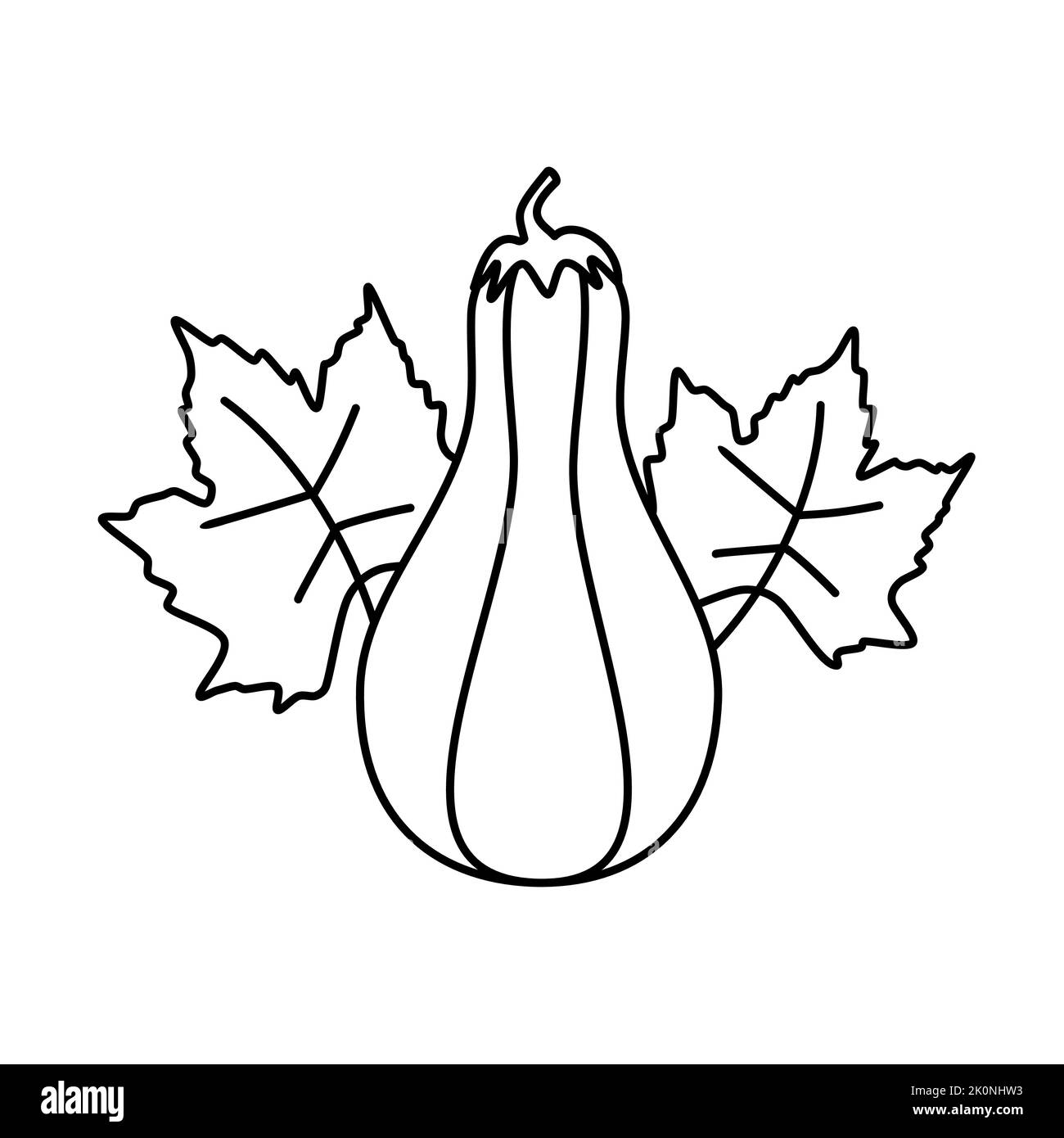 Butternut Squash Coloring Page
